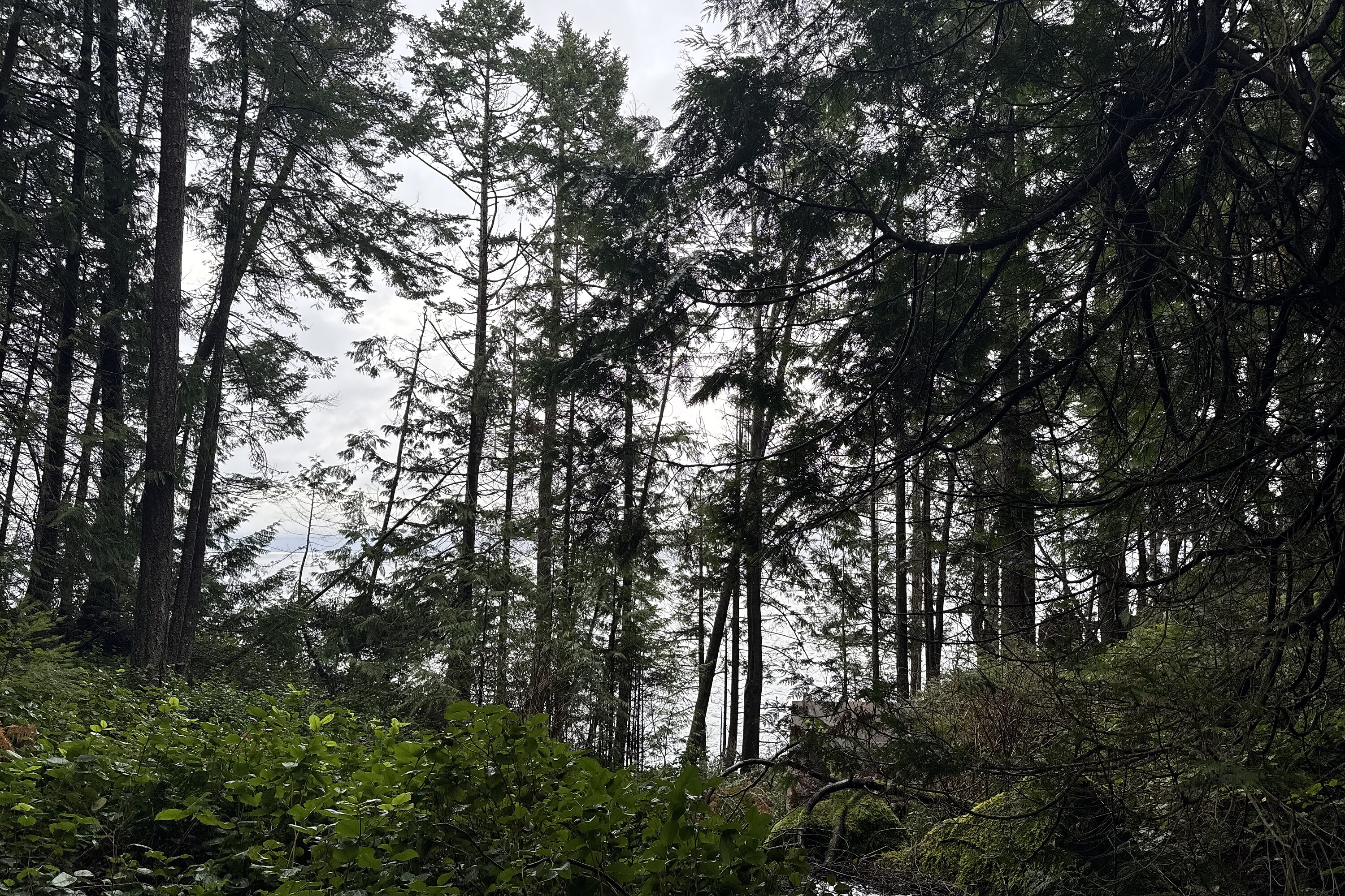ObjectPhoto24