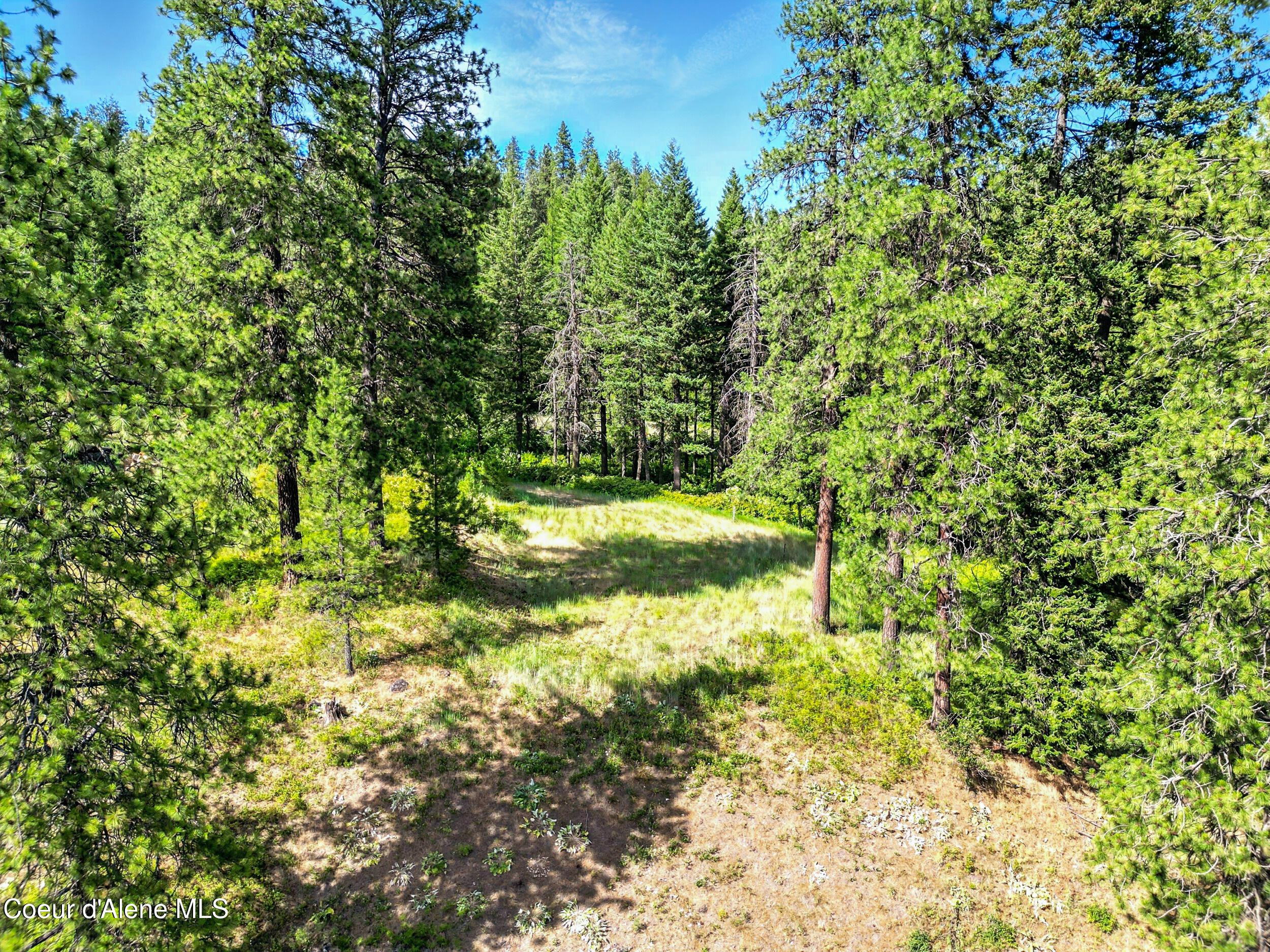 Worley, Idaho, 83876, United States, ,Land,For Sale,1980787