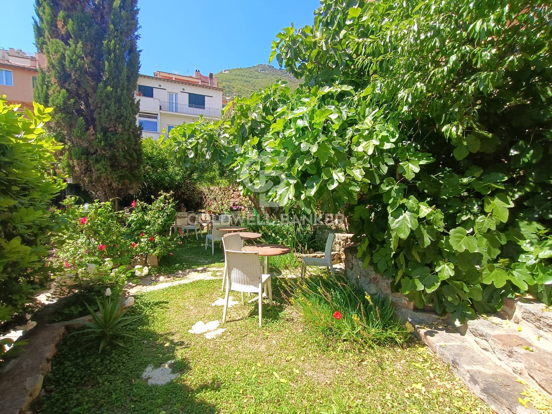Via Thaon de Revel, Isola del Giglio, Grosseto, 58012, IT, 2 Bedrooms Bedrooms, ,2 BathroomsBathrooms,Residential,For Sale,Via Thaon de Revel,1673234