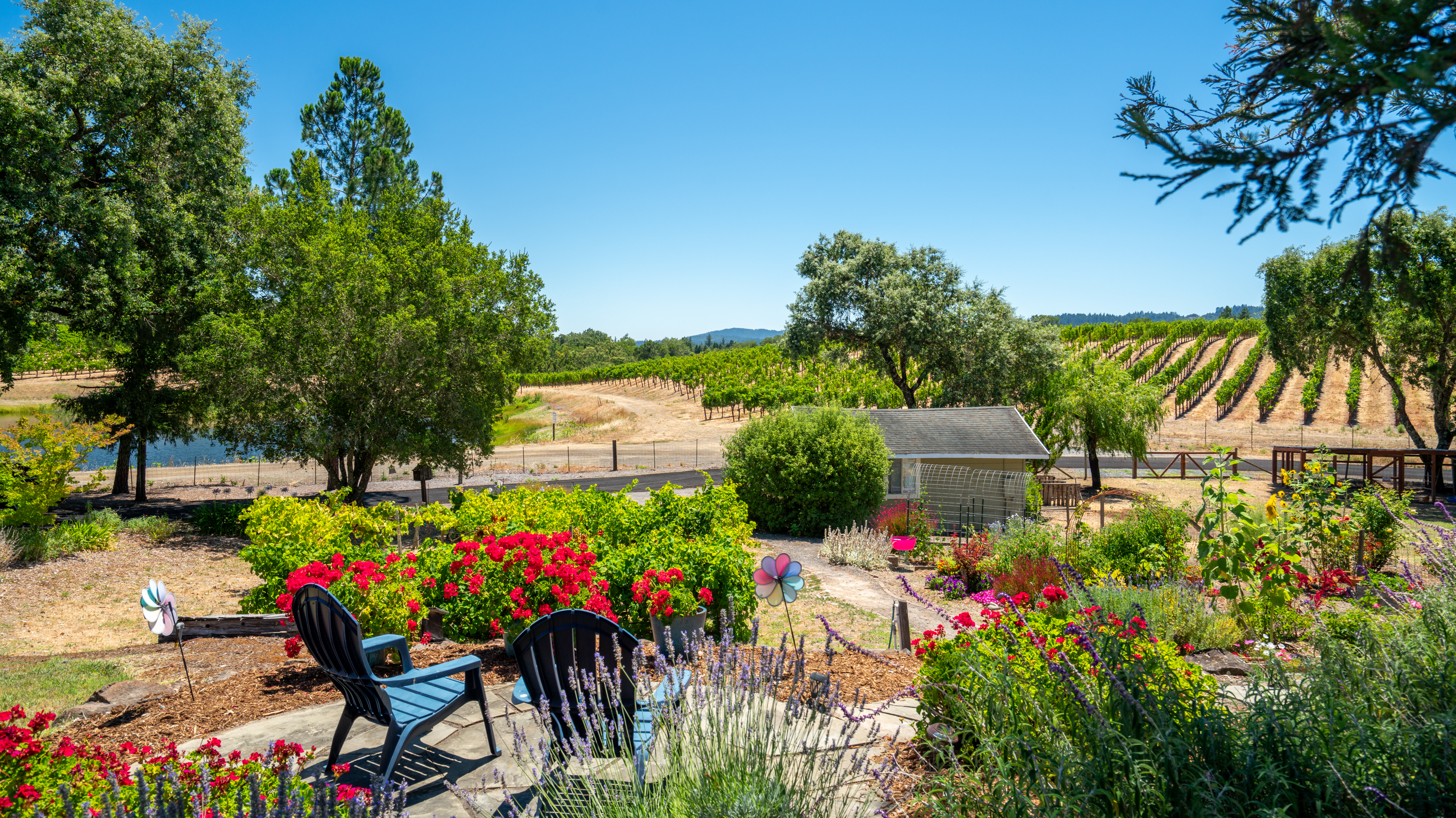  Sonoma Country Lifestyle - 物件實景