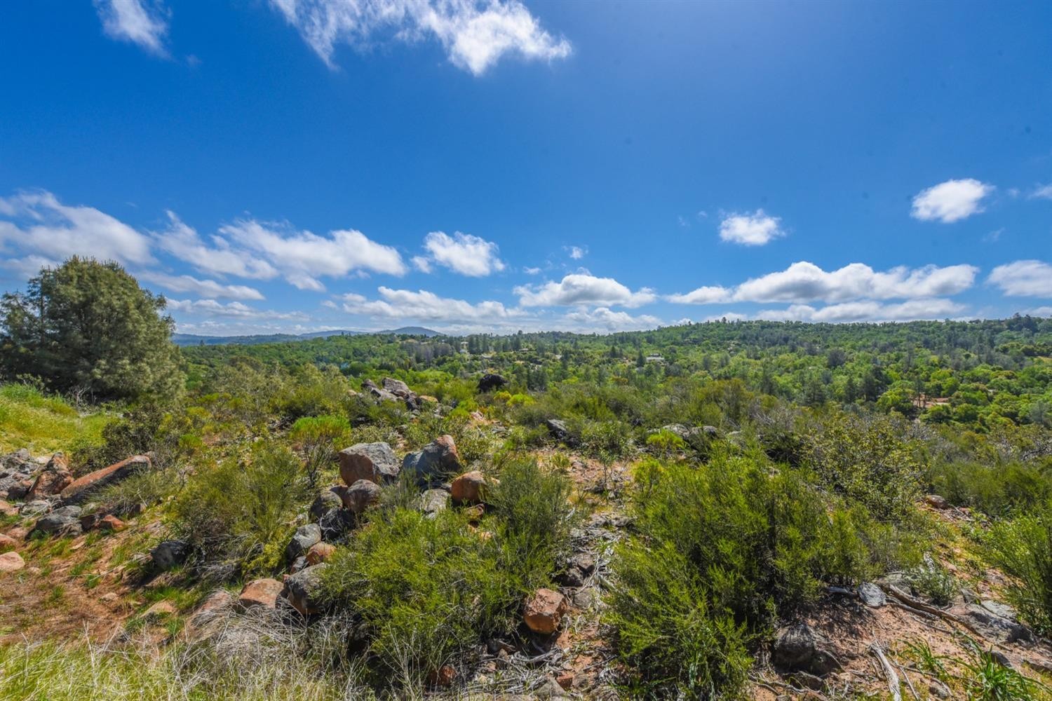 15880 Parkridge Avenue, Sonora, California, 95370, United States, ,Land,For Sale,15880 Parkridge Avenue,1432532