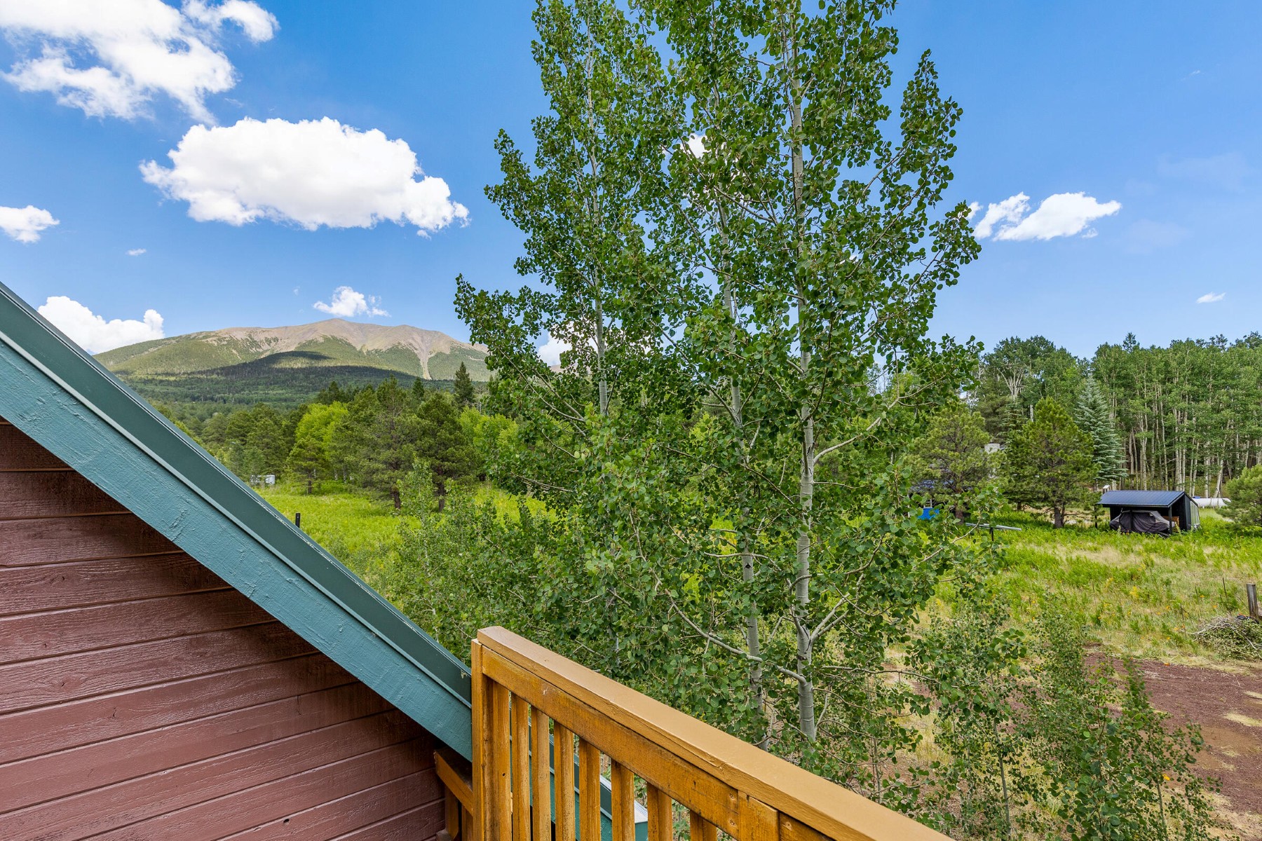  17787 N Forest Service 9004t Road ¦ Flagstaff, AZ - 物件實景