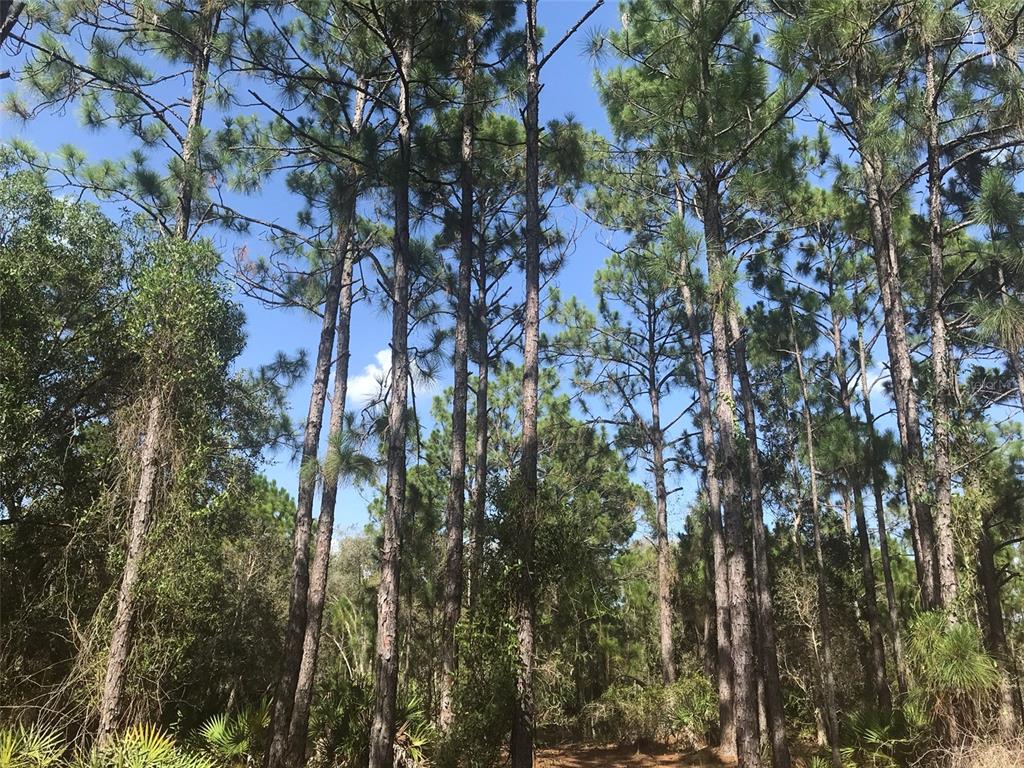 Punta Gorda, Florida, 33982, United States, ,Land,For Sale,1806148