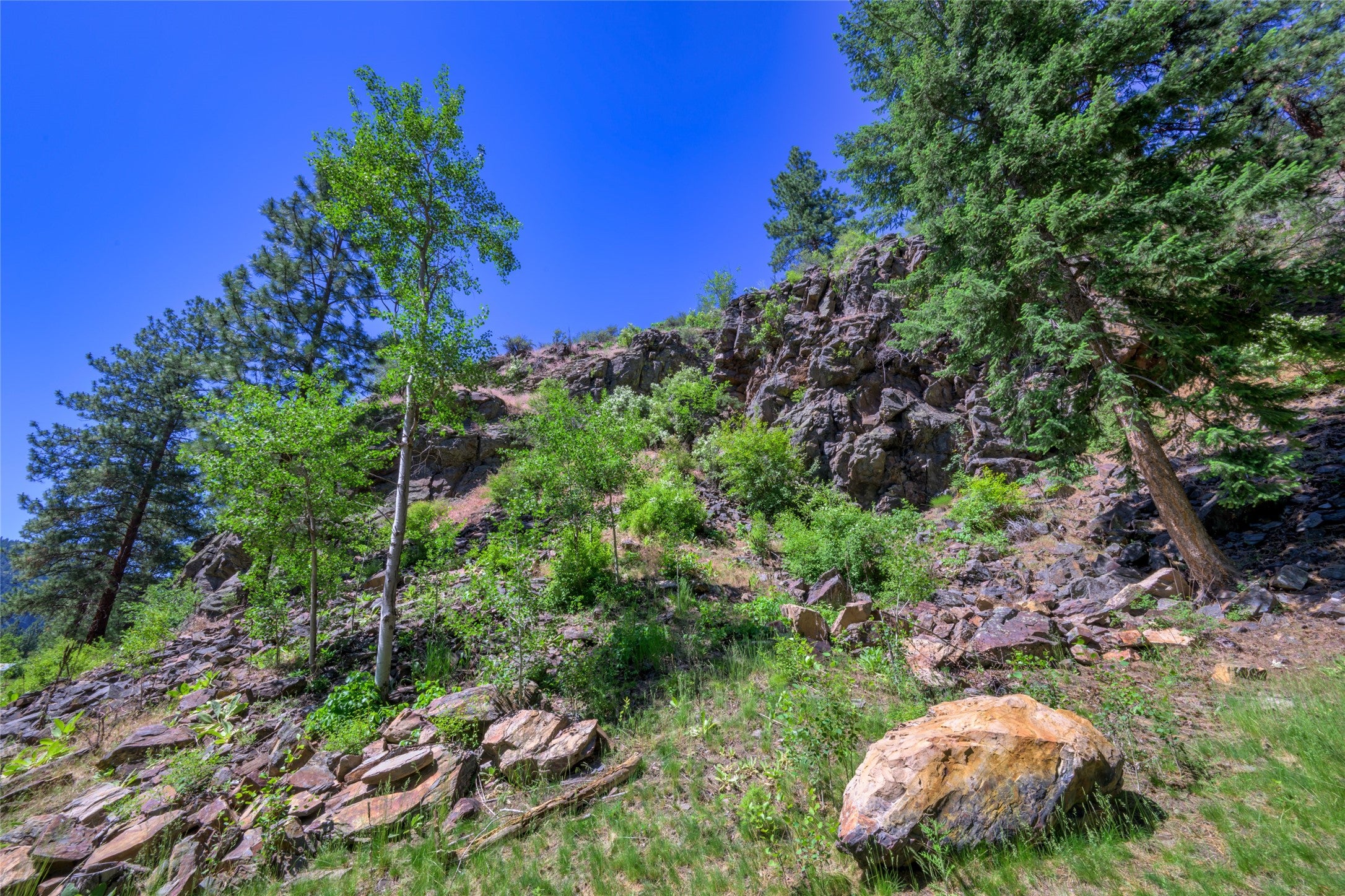 8045 Mt Hwy 200, Plains, Montana, 59859, United States, 3 Bedrooms Bedrooms, ,1 BathroomBathrooms,Residential,For Sale,8045 Mt Hwy 200,1586647
