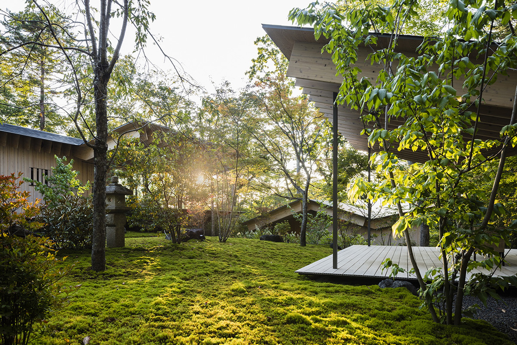  ROOF/BIRDS: Wild Bird Forest Lodge - 物件實景