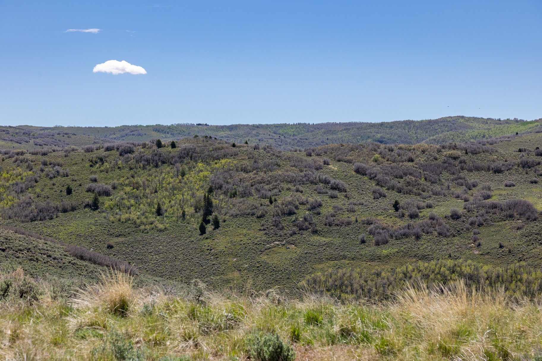 7+ Acres at Victory Ranch - 物件實景