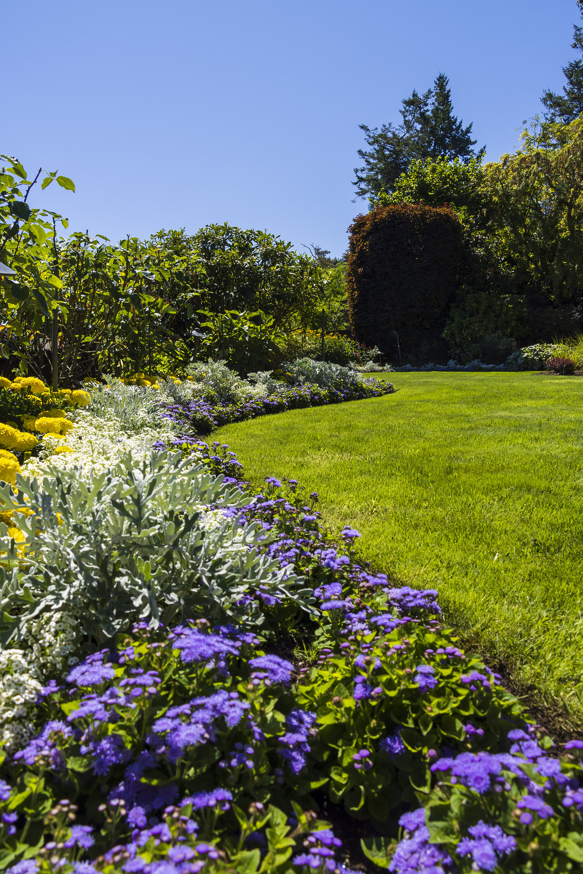  West Coast Oceanfront Home - 物件實景