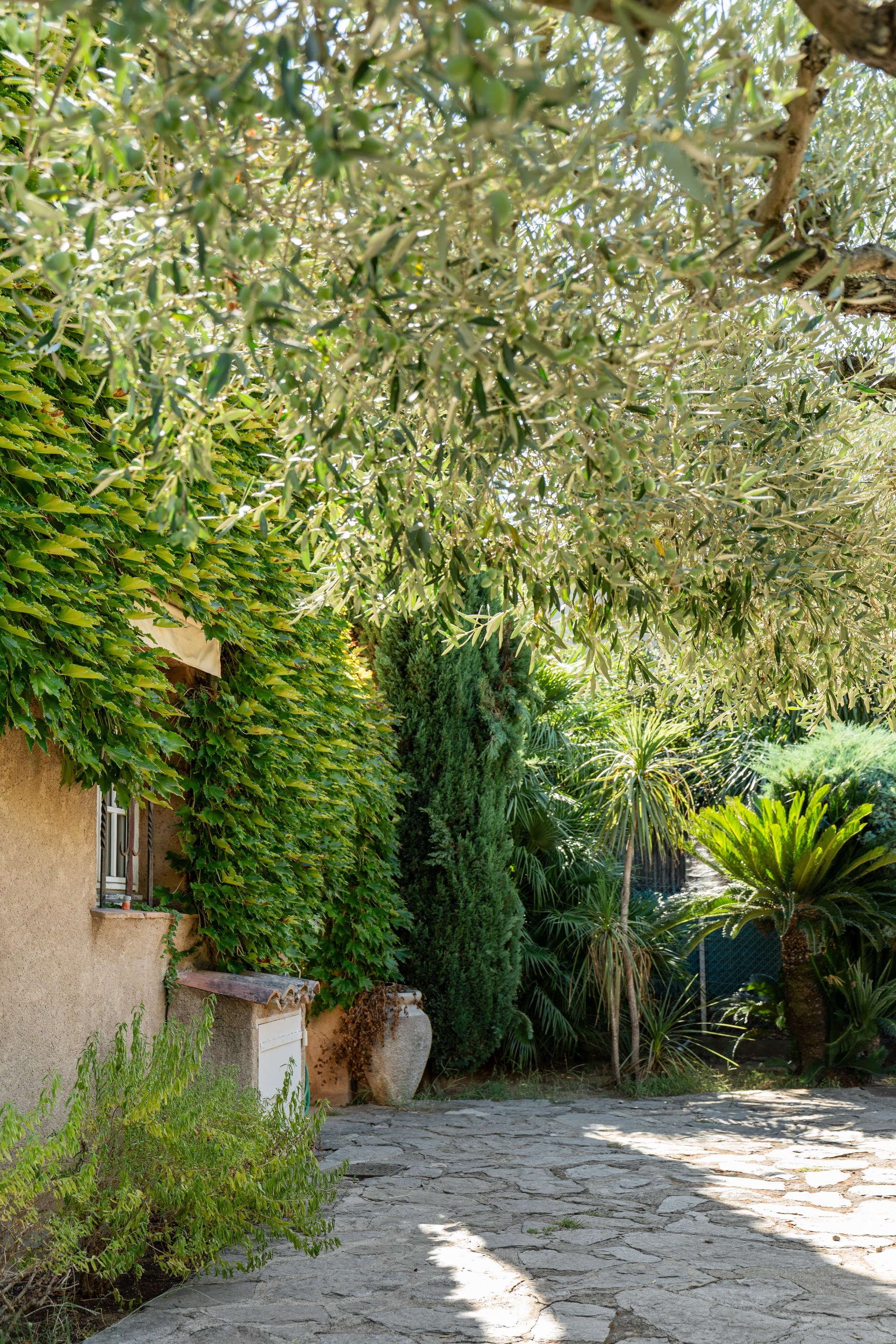  Rare on the market – Saint-Tropez centre, house to renovate with its private 80… - 物件實景