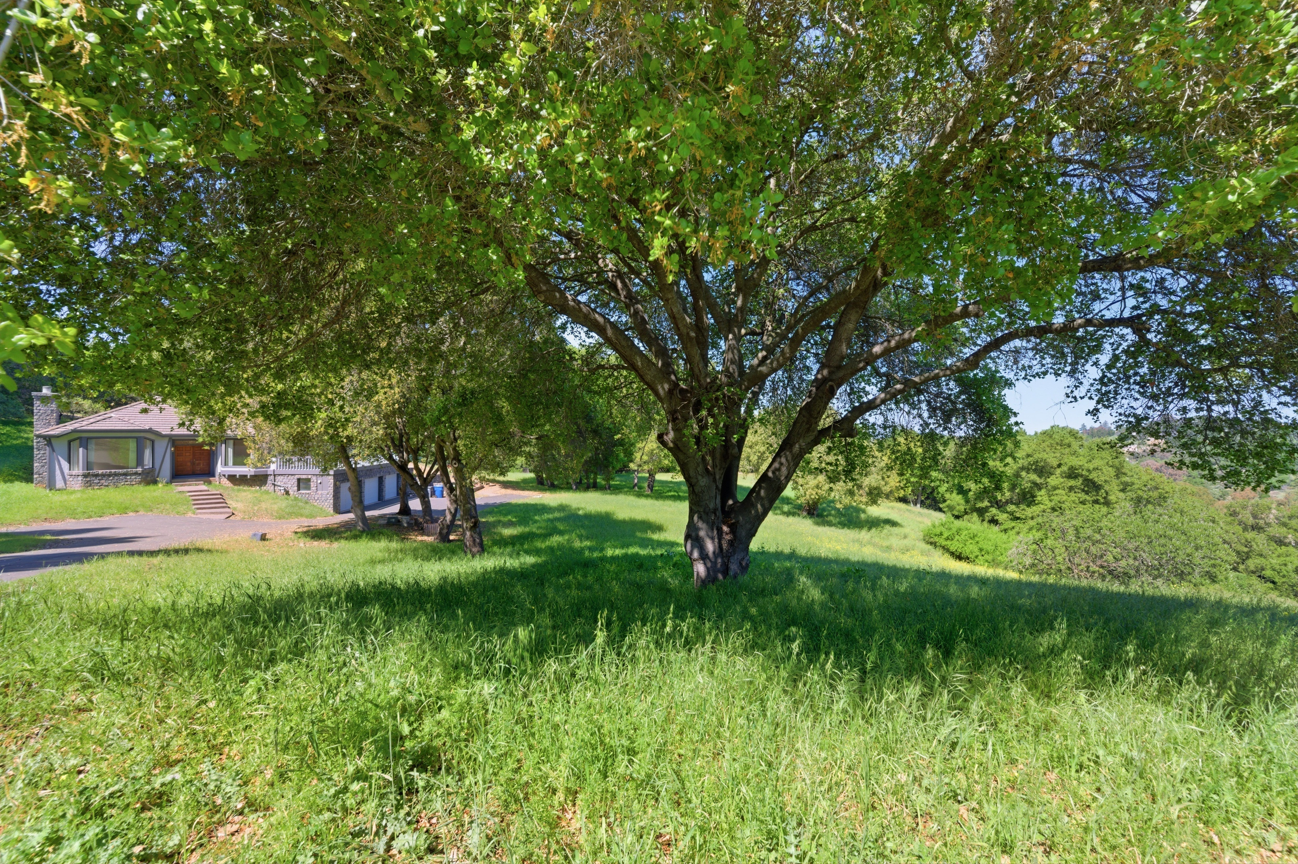  More Than 2.7 Acres of Privacy and Potential with Palo Alto Schools - 物件實景