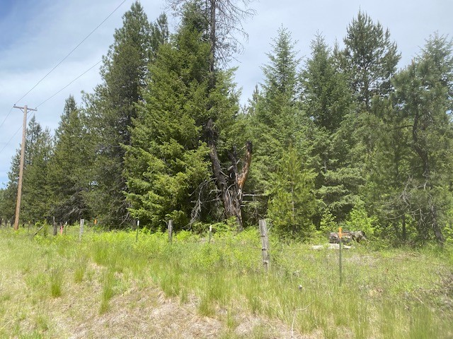 Priest River, Idaho, 83856, United States, ,Land,For Sale,2006127