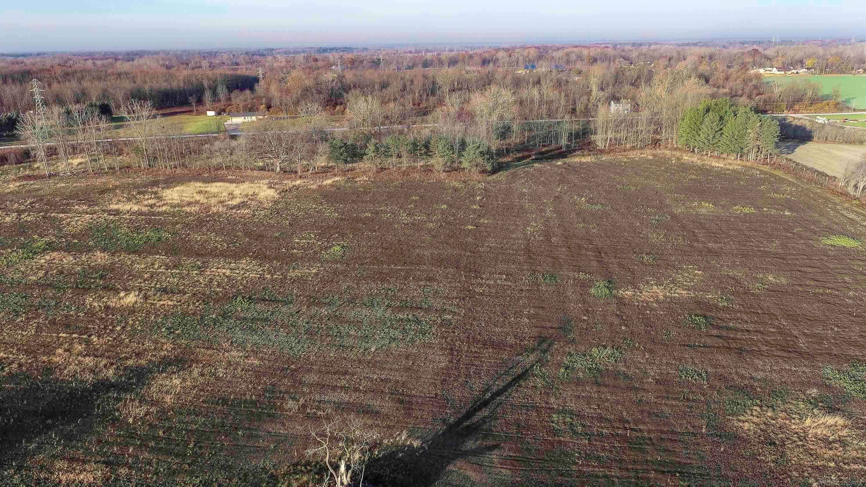 Ray, Michigan, 48096, United States, ,Land,For Sale,1998668