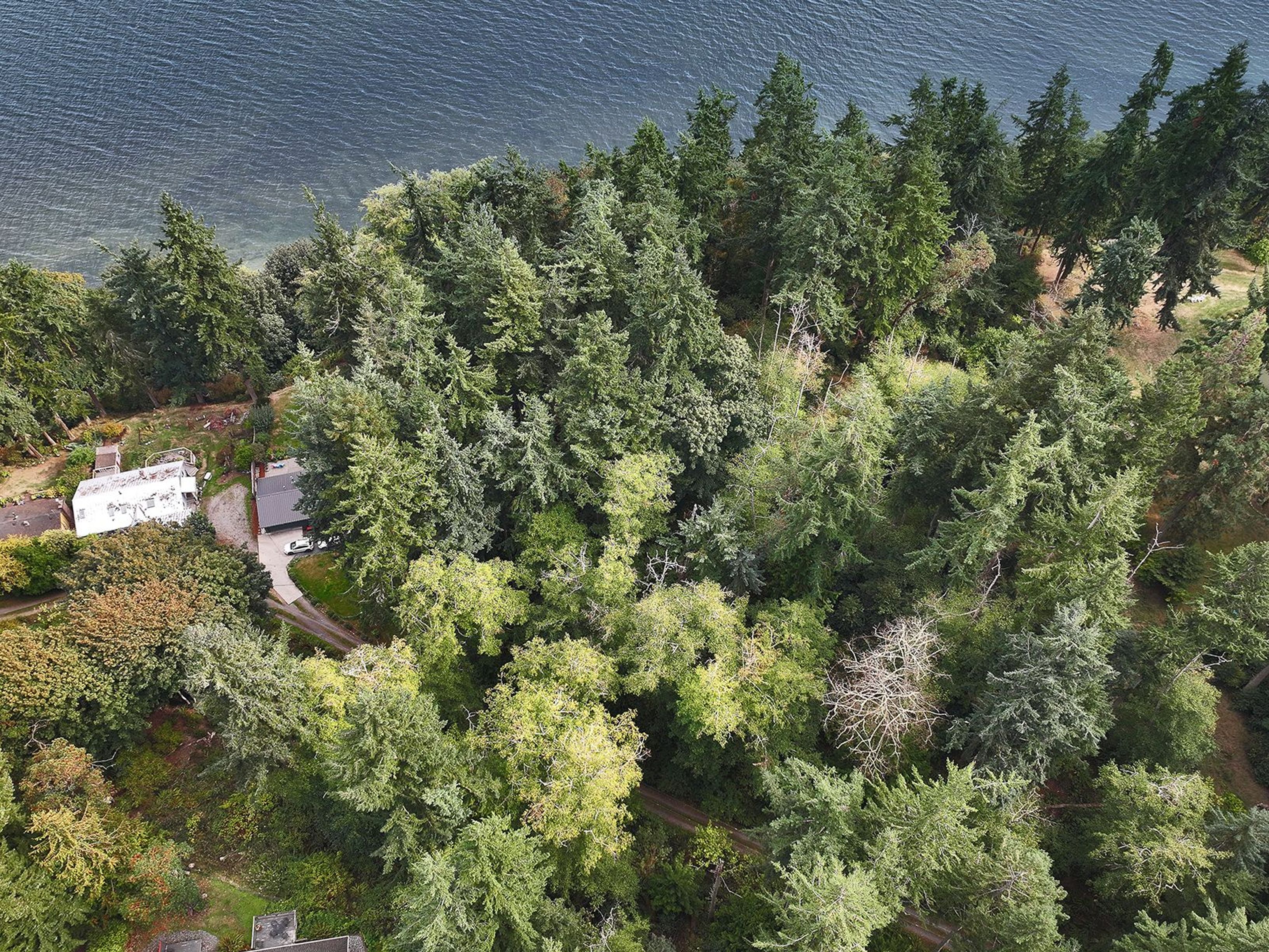  XXX Waterside Lane, Langley, WA 98260 - 物件實景