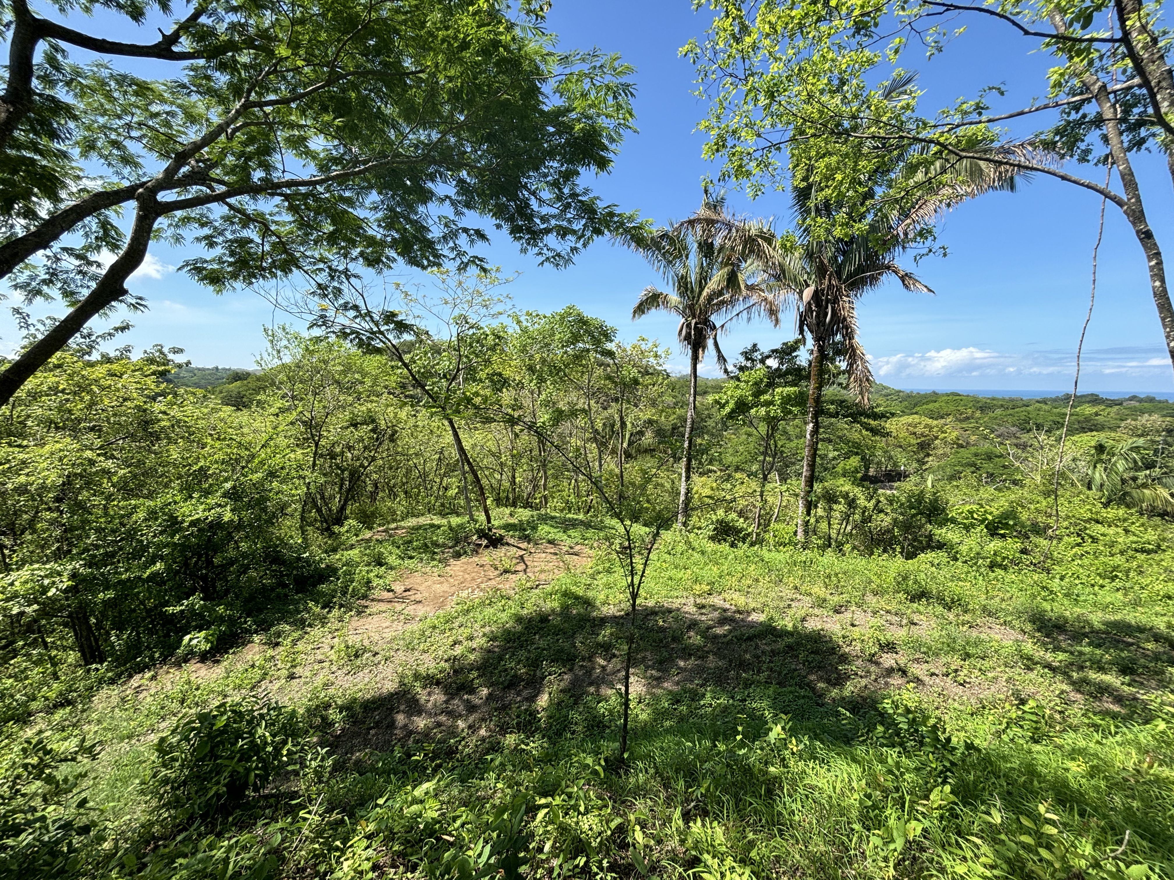 Nosara, Guanacaste, CR, ,Land,For Sale,1669008