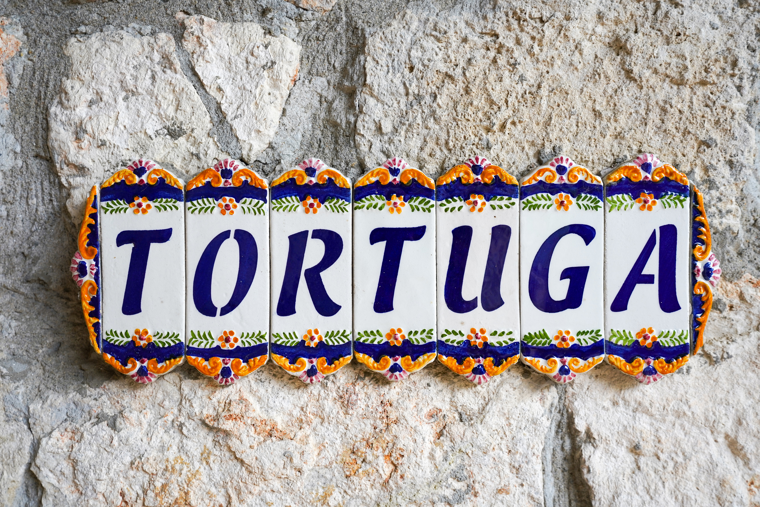  Tortuga Villa - Black Sea Waterfront, Olimp - 物件實景