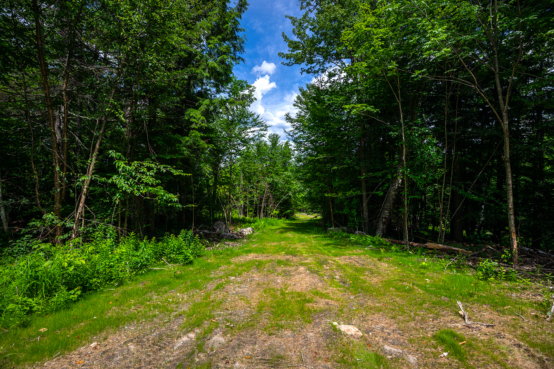  Little Pond Road - 物件實景
