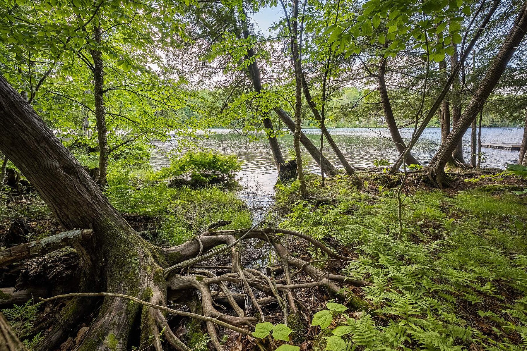  Austin, Eastern Townships - 物件實景