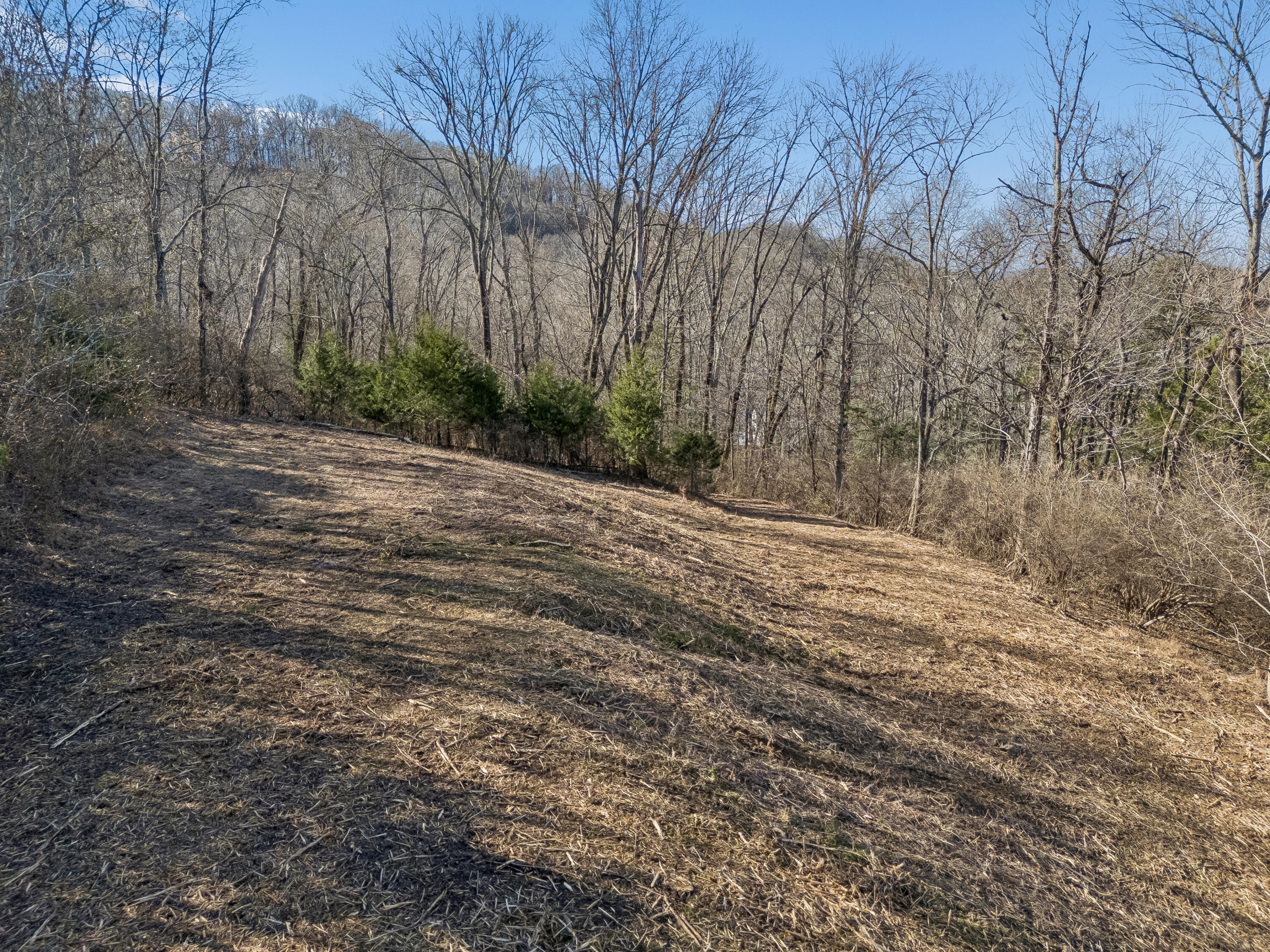 Brentwood, Tennessee, 37027, United States, ,Land,For Sale,2005446