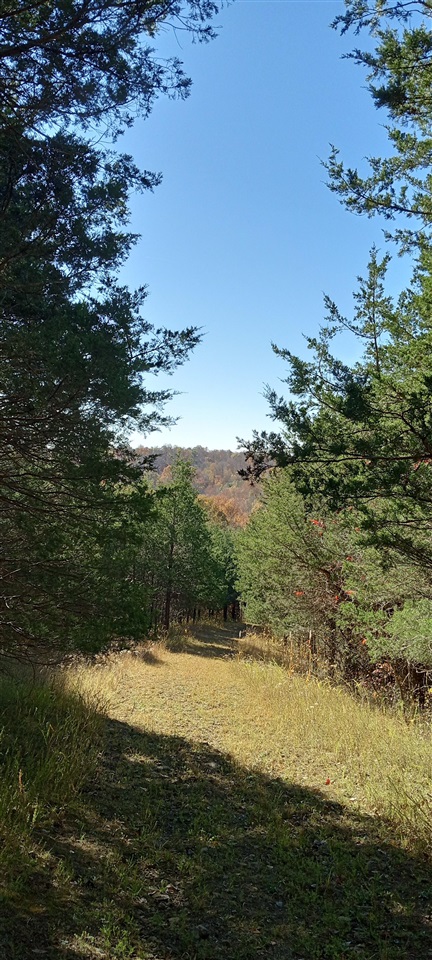 Willow Shade, Kentucky, 42166, United States, 3 Bedrooms Bedrooms, ,2 BathroomsBathrooms,Residential,For Sale,1991903