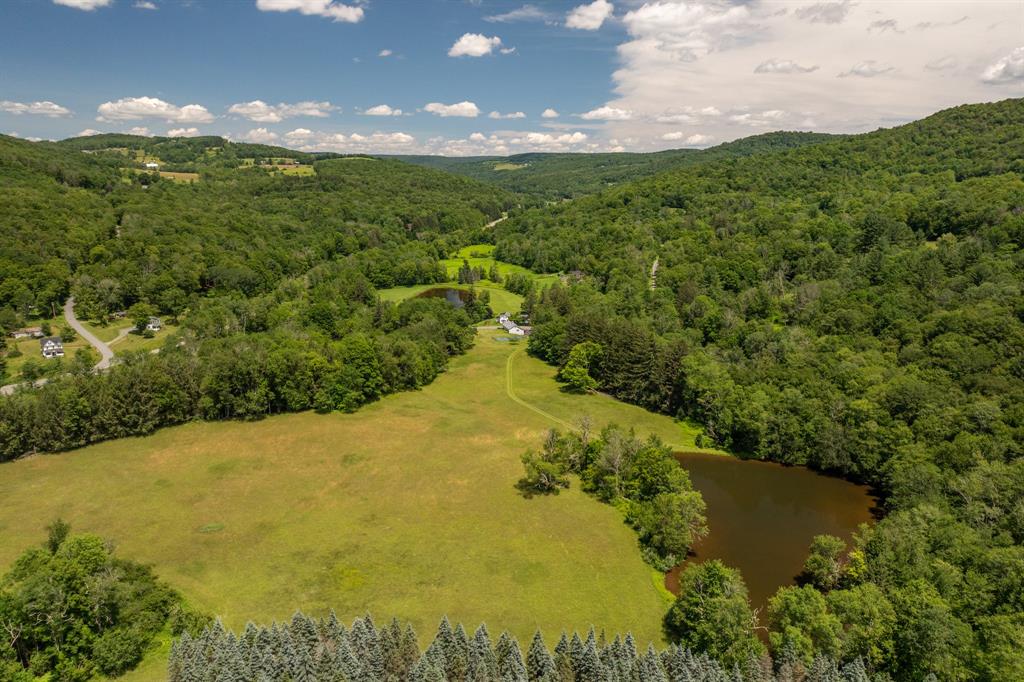 North Branch, New York, 12766, United States, 4 Bedrooms Bedrooms, ,3 BathroomsBathrooms,Residential,For Sale,1977100