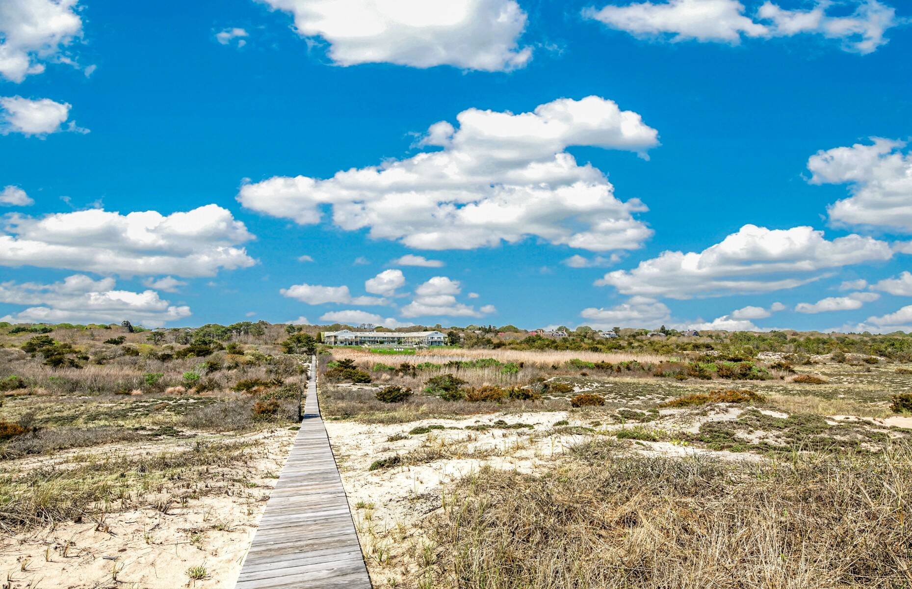  Amagansett- Oceanfront Investment /Lifestyle Opportunity - 物件實景