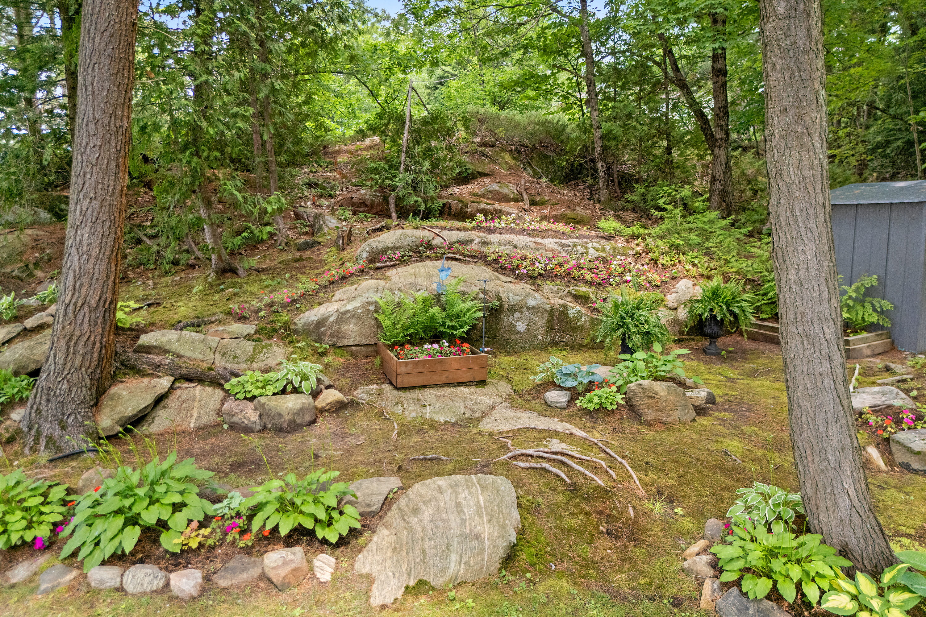  Gibson Lake Family Cottage - 物件實景