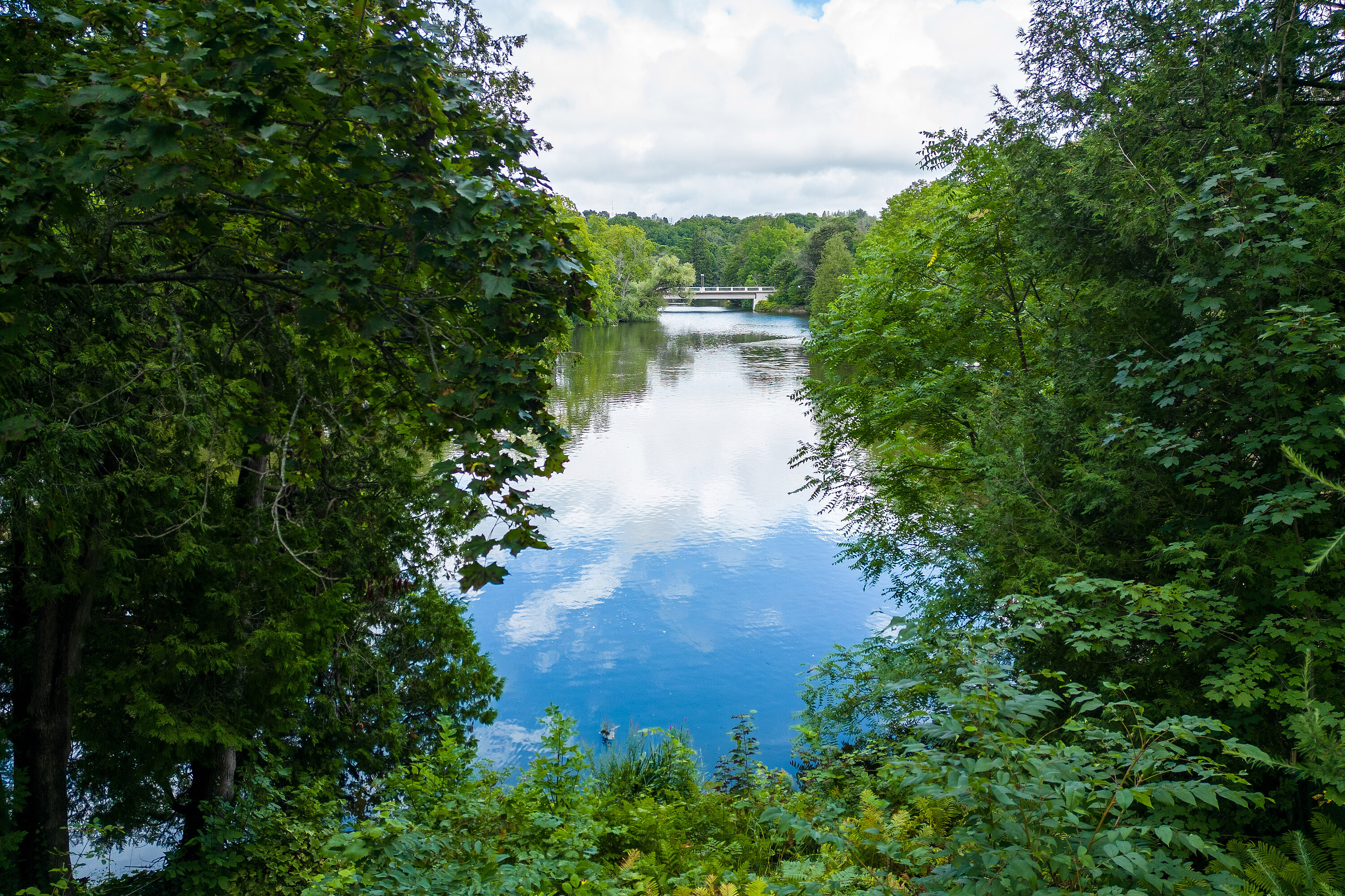  Picturesque Sydenham River - 物件實景