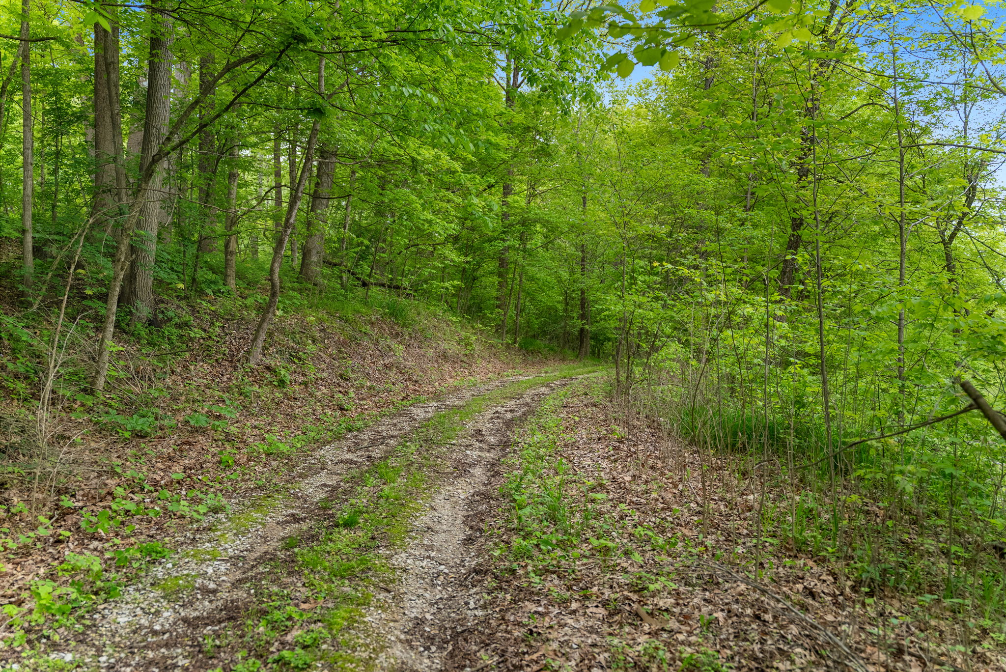 Rosedale, Indiana, 47874, United States, ,Land,For Sale,2049036