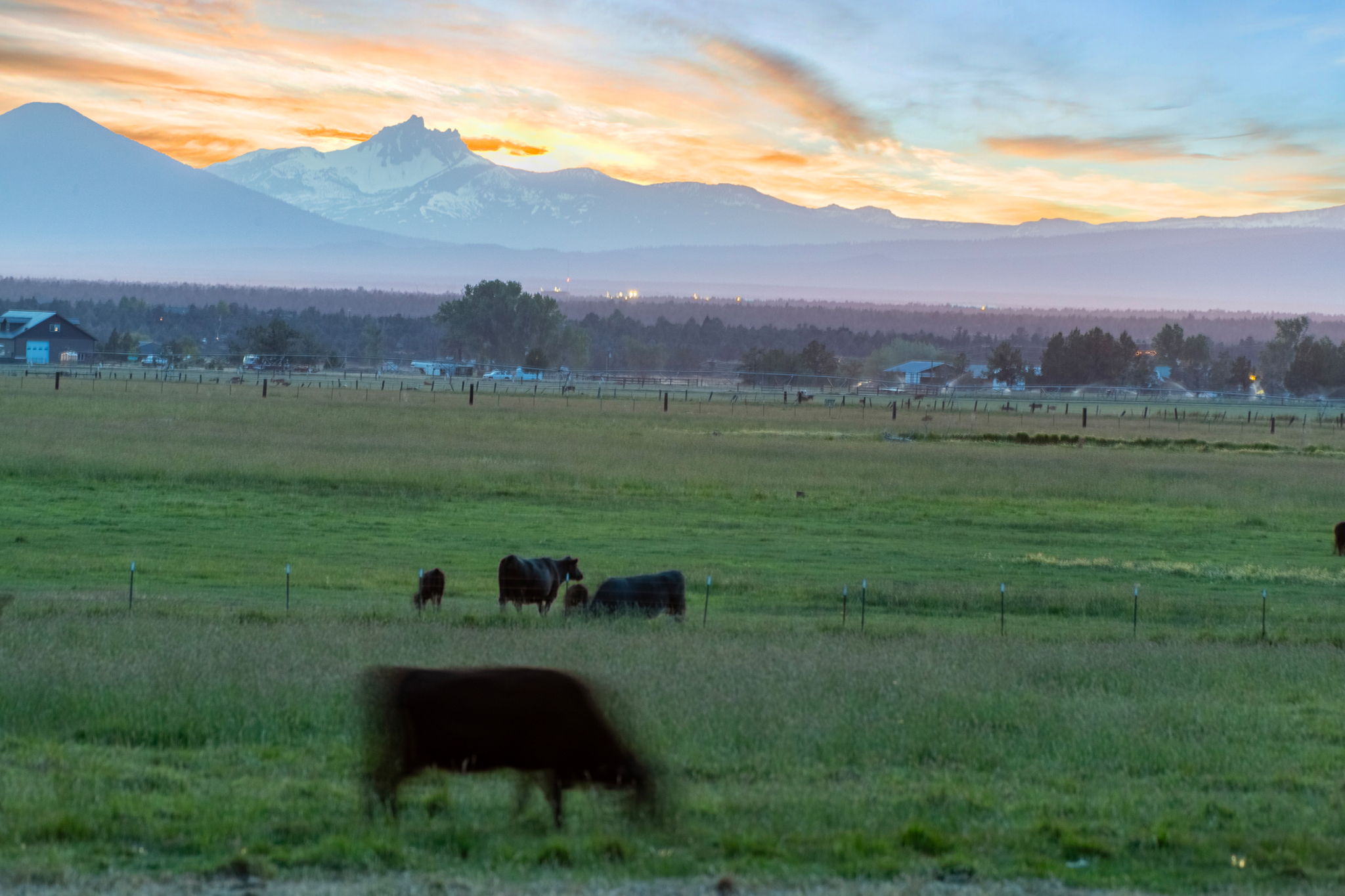 13501 SW Riggs Rd., Powell Butte, Oregon, 97753, United States, 3 Bedrooms Bedrooms, ,4 BathroomsBathrooms,Farm And Agriculture,For Sale,13501 SW Riggs Rd.,1623020