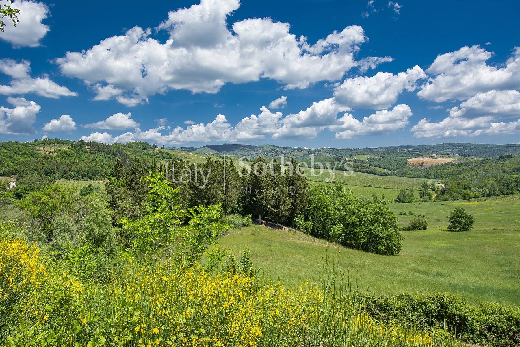  Esclusive wine estate in the heart of Chianti classico - 物件實景