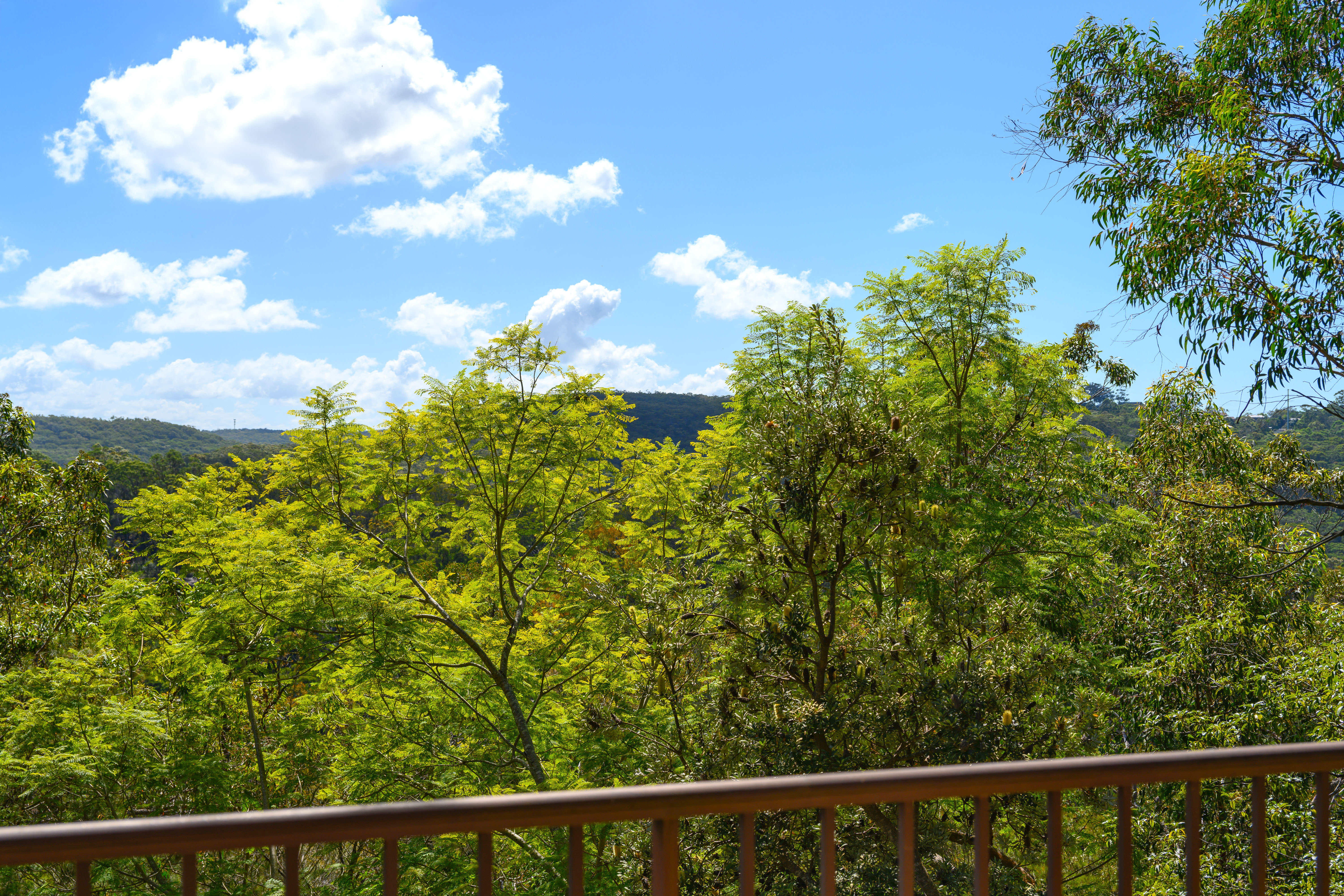  37 Kimberley Street, East Killara - 物件實景