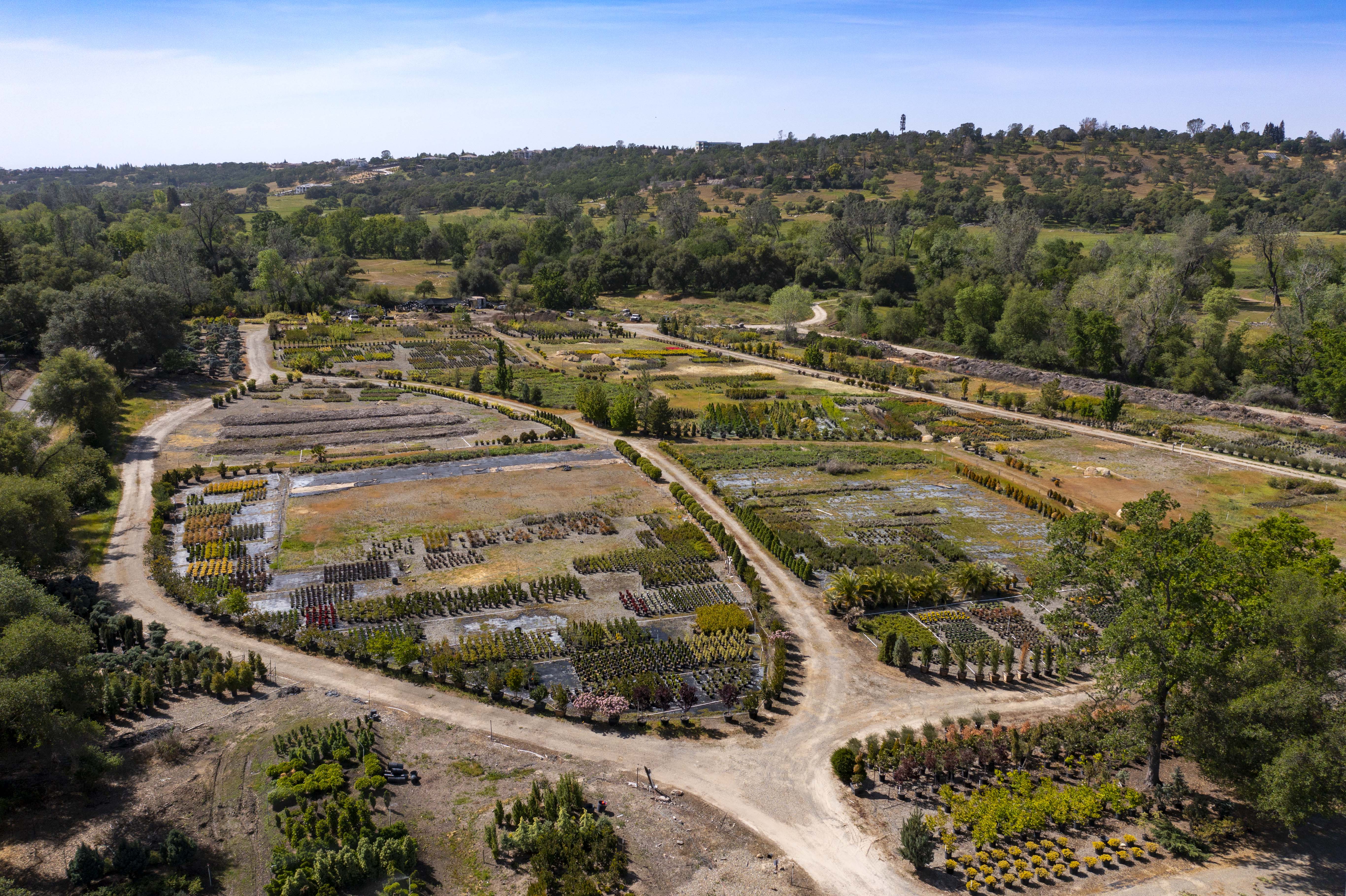  5575 Cavitt Stallman Road, Granite Bay, CA 95746 - 物件實景