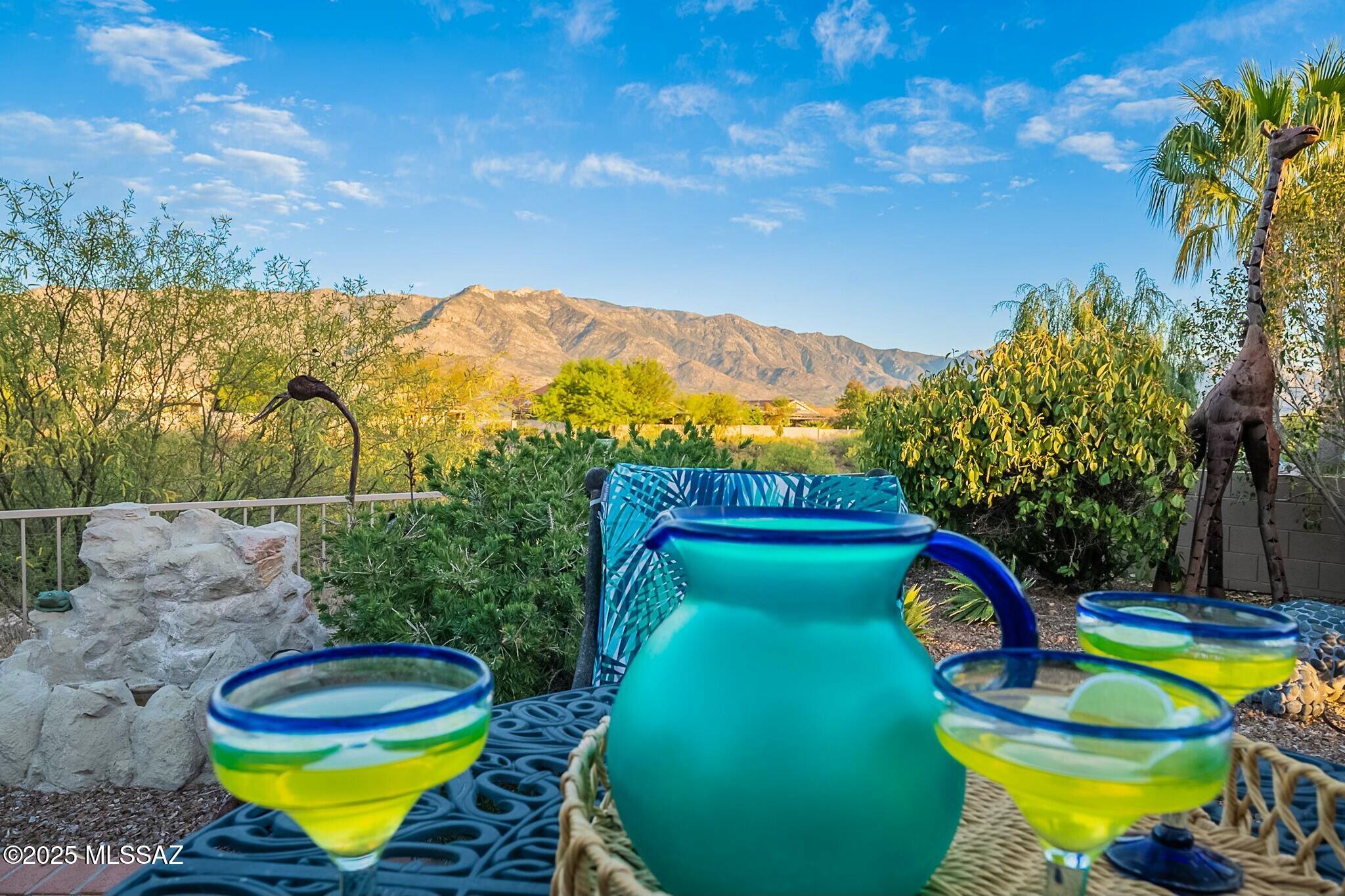 Saddlebrooke, Arizona, 85739, United States, 2 Bedrooms Bedrooms, ,2 BathroomsBathrooms,Residential,For Sale,1912675