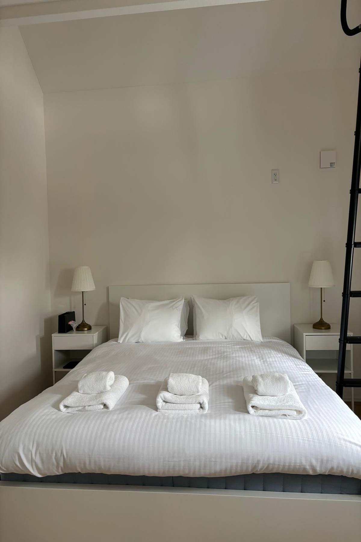  Niseko White VillasAnnupuri - 物件實景