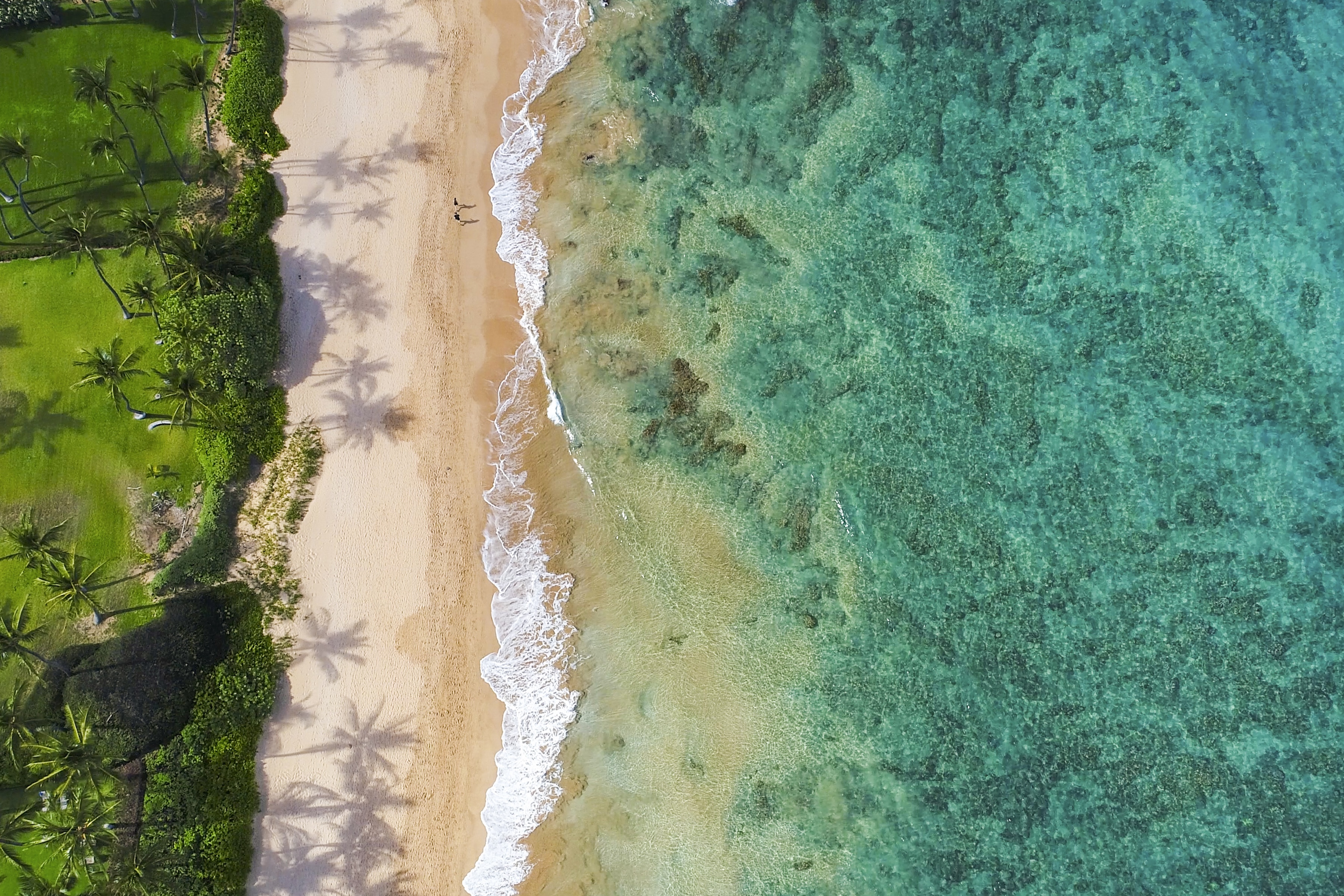  Serene beach front two bedroom two bath vacation rental condo - 物件實景