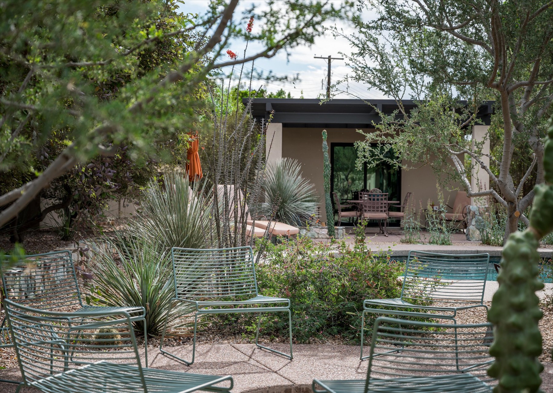  515 W Orangewood Avenue, Phoenix, AZ 85021 - 物件實景