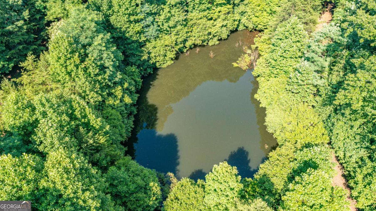 Cherry Log, Georgia, 30522, United States, ,Land,For Sale,1859131