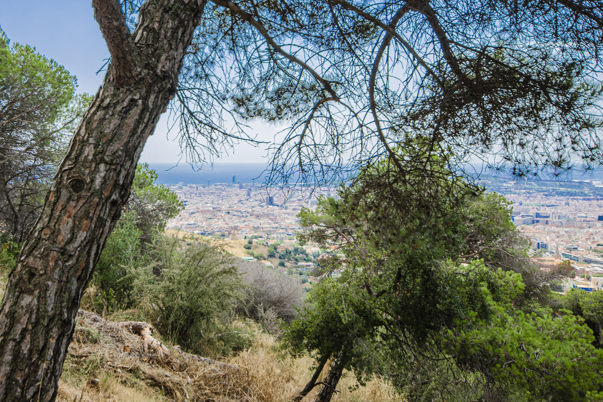  Building land with views in Sarrià - 物件實景