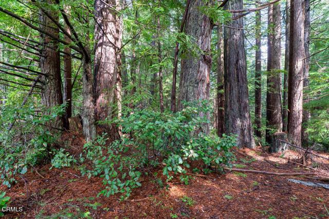 Mendocino, California, 95460, United States, 2 Bedrooms Bedrooms, ,1 BathroomBathrooms,Residential,For Sale,1921382