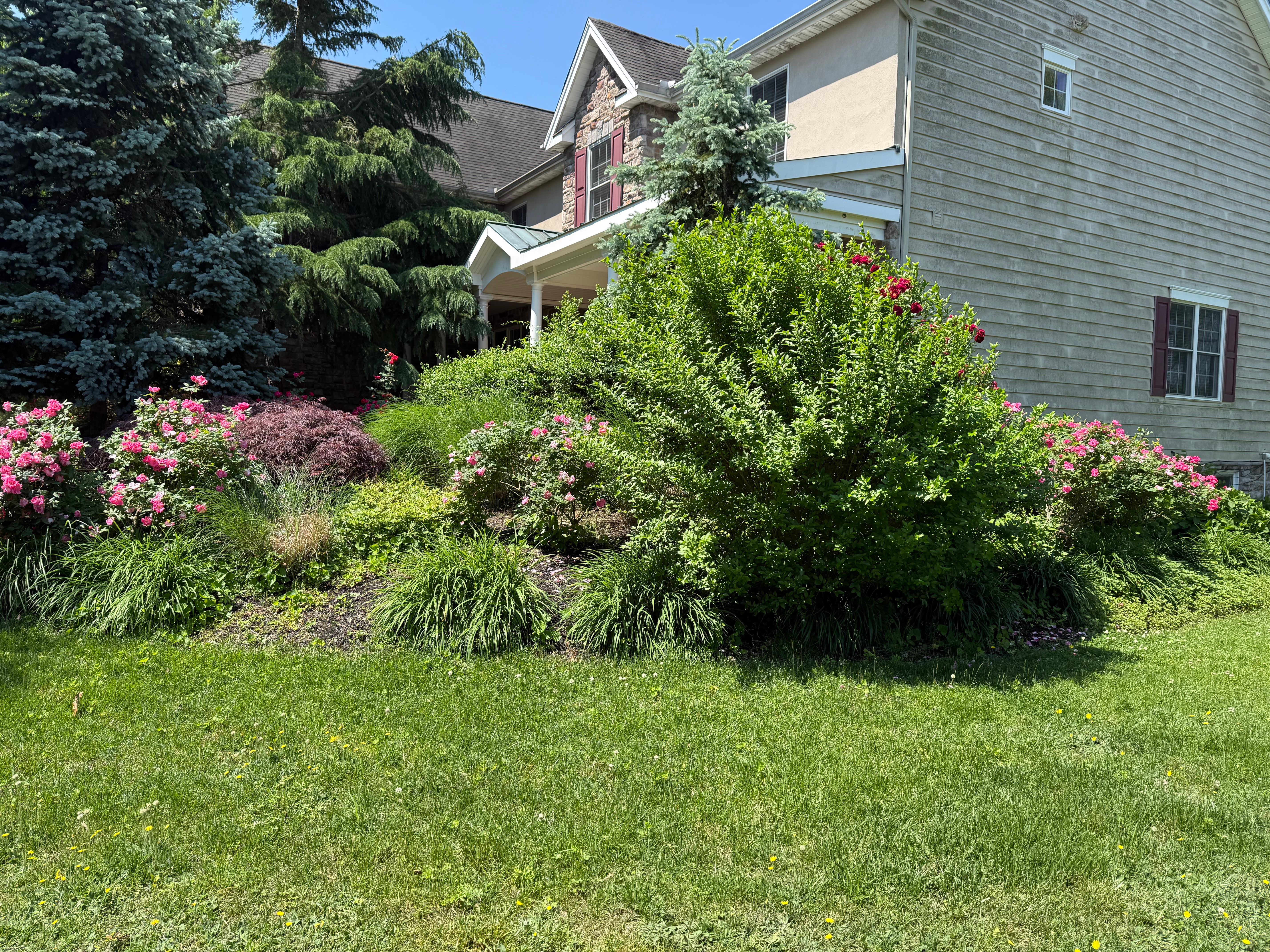  1 Barr, Linwood, NJ, 08221 - 物件實景