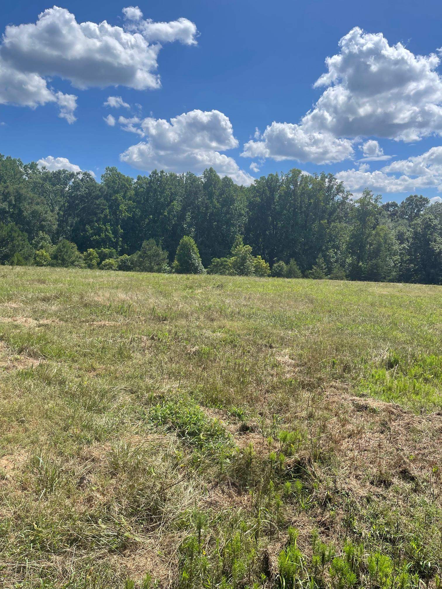 Cowpens, South Carolina, 29330, United States, 1 Bedroom Bedrooms, ,1 BathroomBathrooms,Residential,For Sale,1980416