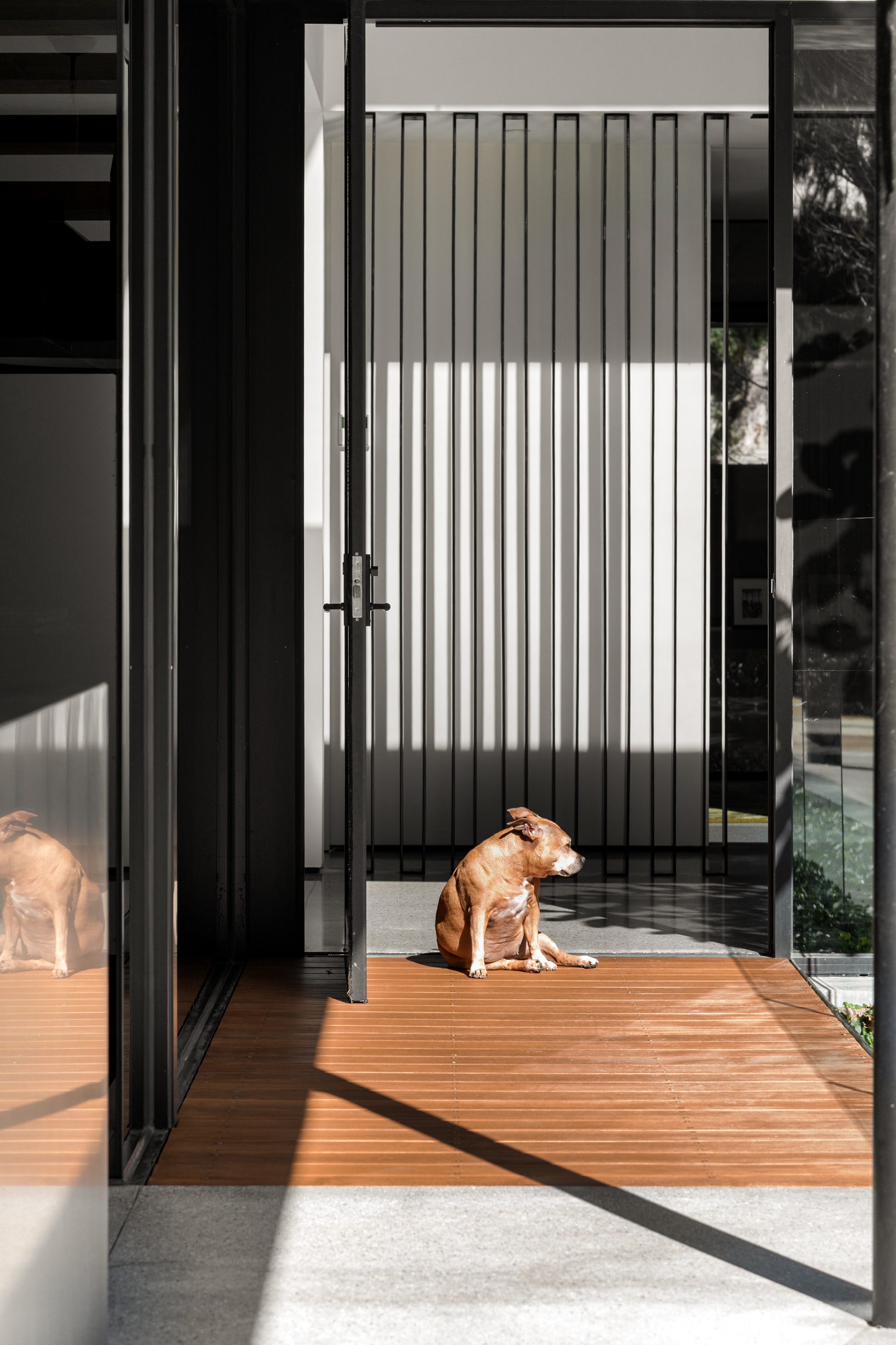  Wolseley Residence - An Architectural Icon by McKimm - 物件實景