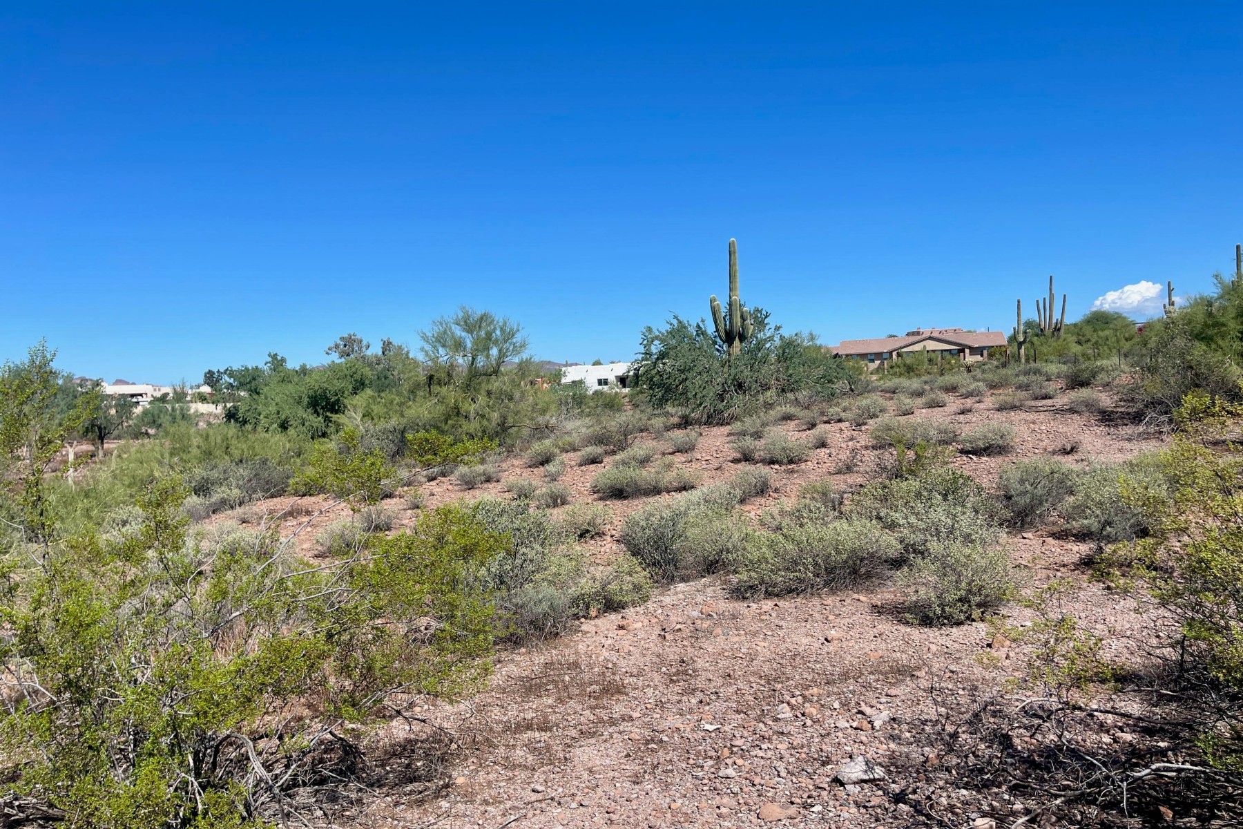  52 E Scenic (geronimo) Street¦Apache Junction, AZ - 物件實景