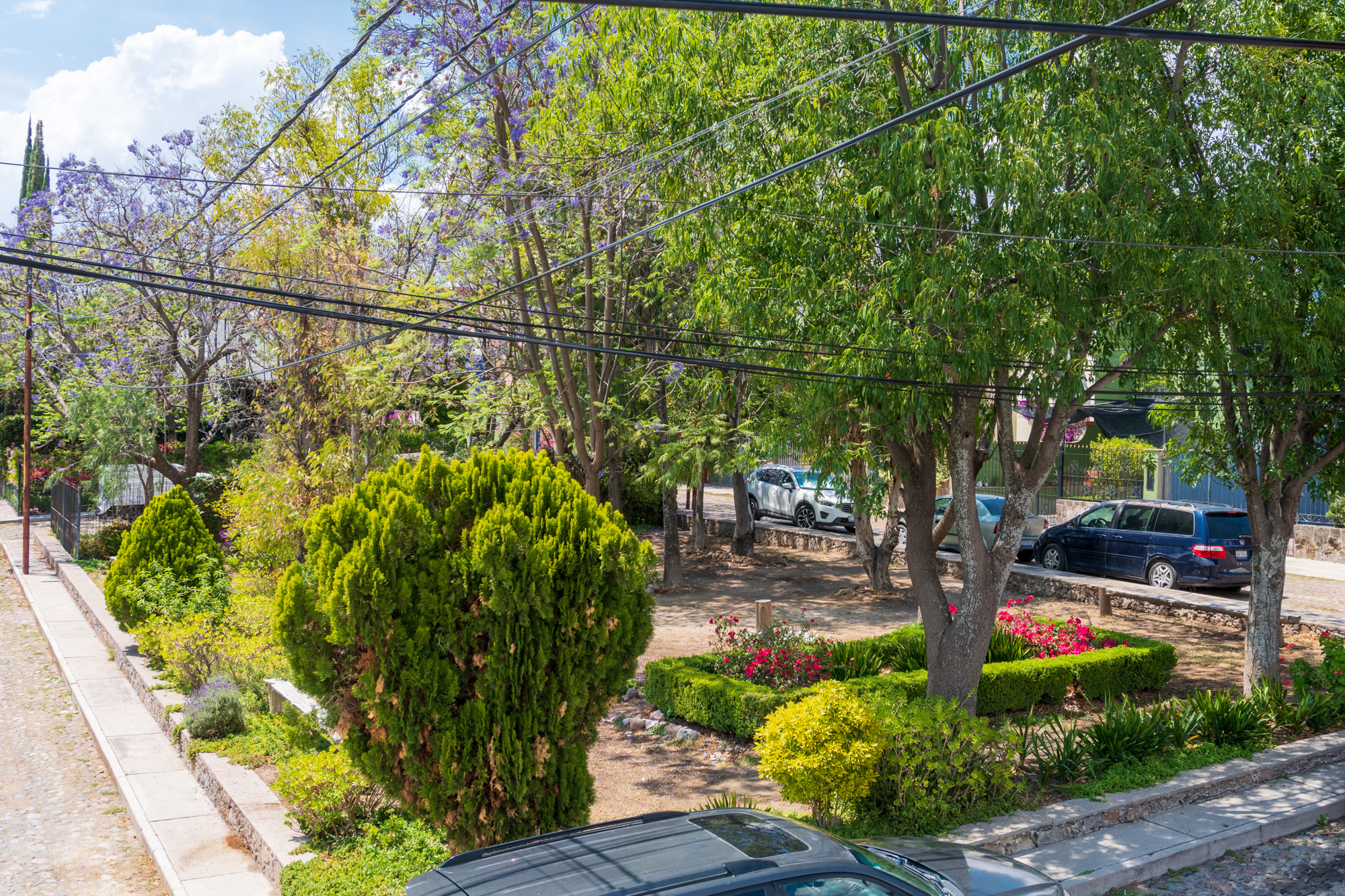  Casa Ofelia - 物件實景