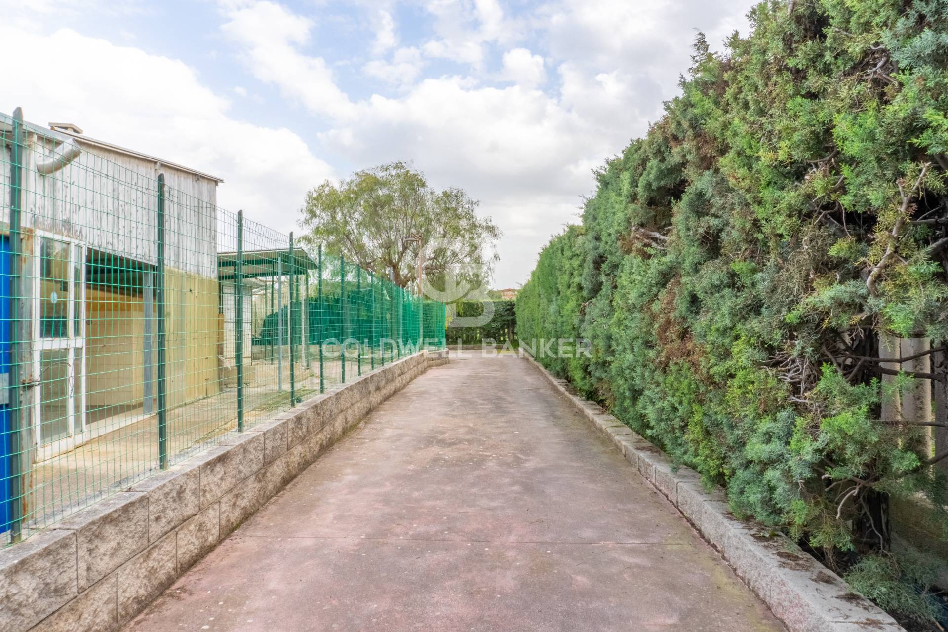 Andria, Barletta-Andria-Trani, 70031, IT, 3 Bedrooms Bedrooms, ,1 BathroomBathrooms,Residential,For Sale,1971414