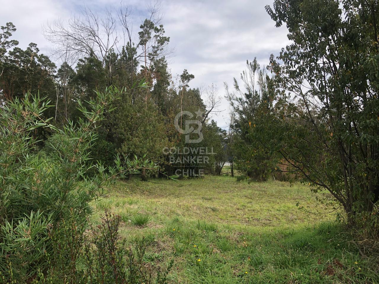 Puerto Varas, Chile, ,Residential,For Sale,1959387