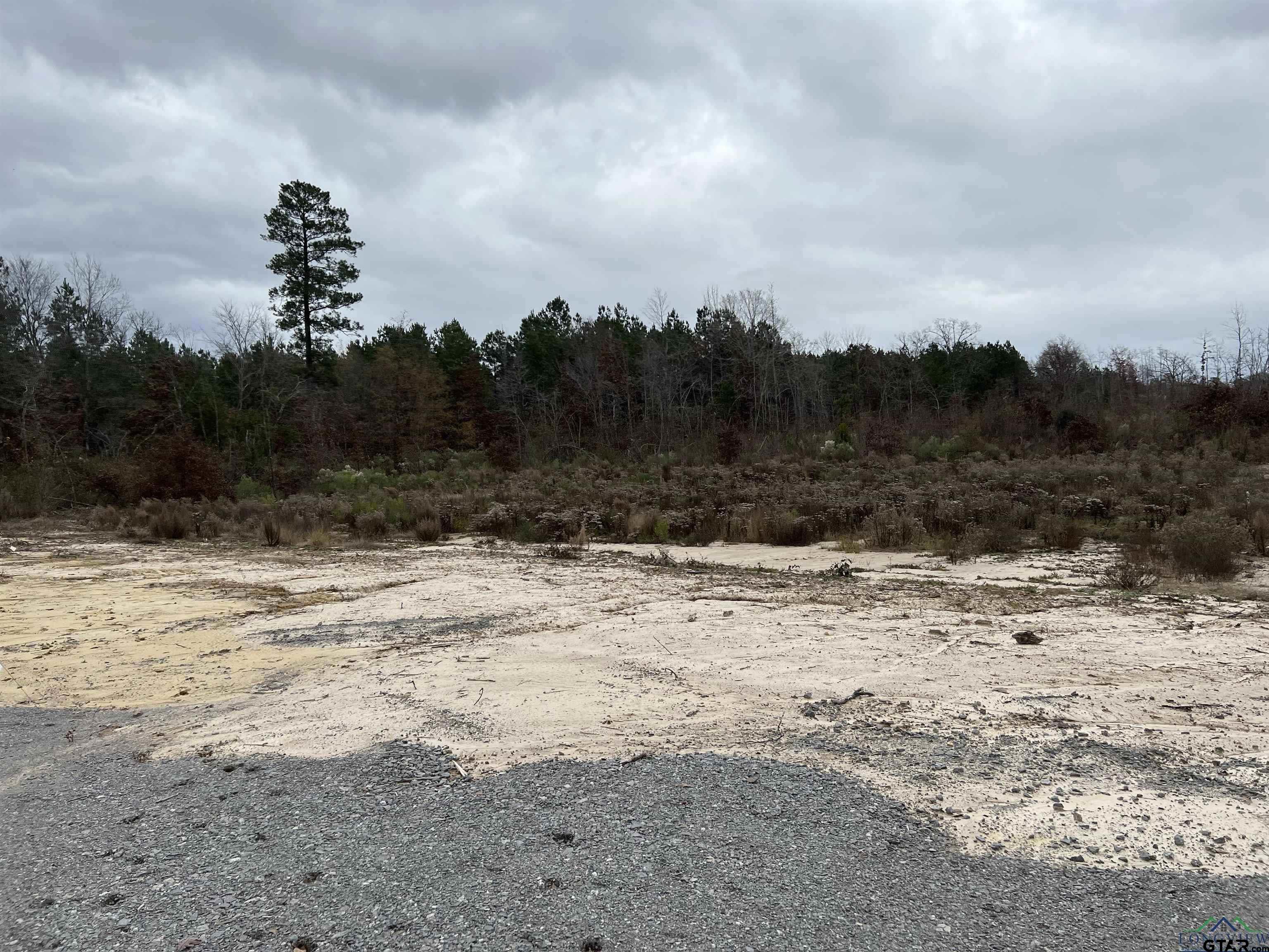 TBD Intersection CR 1324 & CR 1301, Marshall, Texas, 75672, United States, ,Land,For Sale,TBD Intersection CR 1324 & CR 1301,1610763
