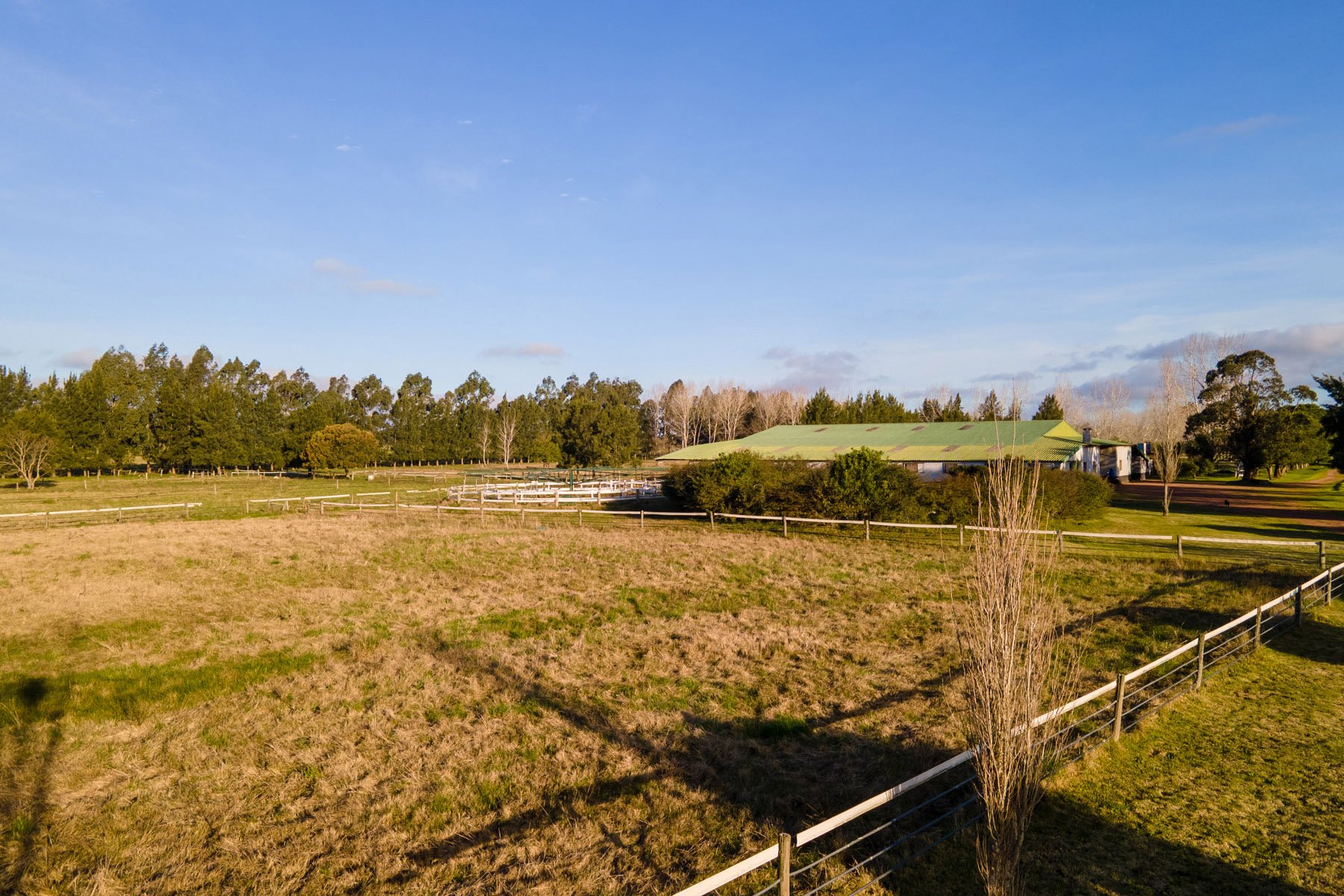  NAHUEL Stud Farm - 物件實景