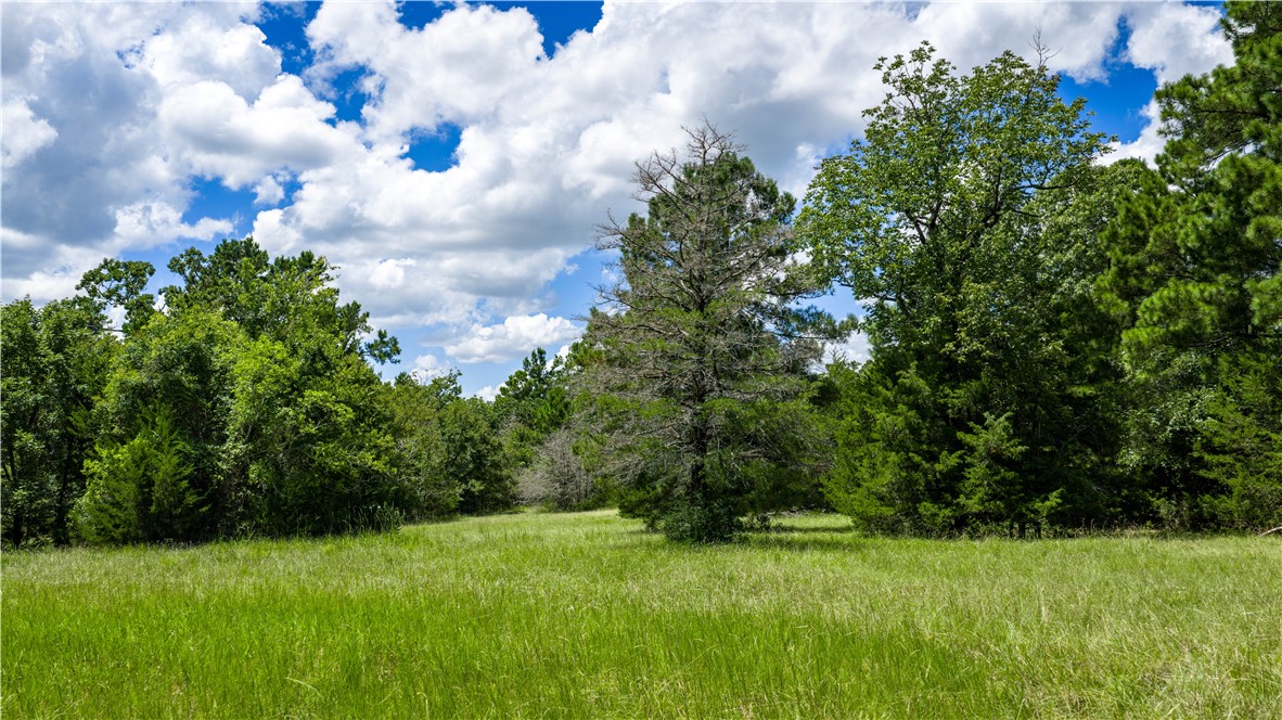 Midway, Texas, 75852, United States, 1 Bedroom Bedrooms, ,1 BathroomBathrooms,Residential,For Sale,1957289