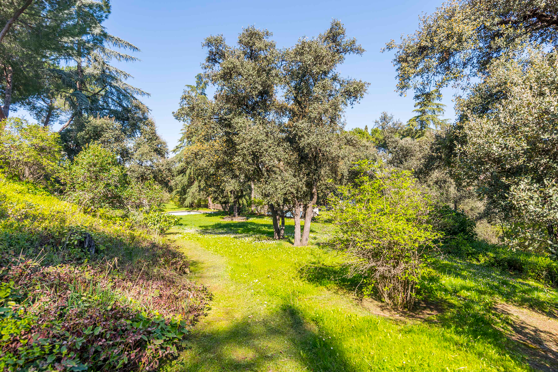  Wonderful hectare plot in La Moraleja - 物件實景