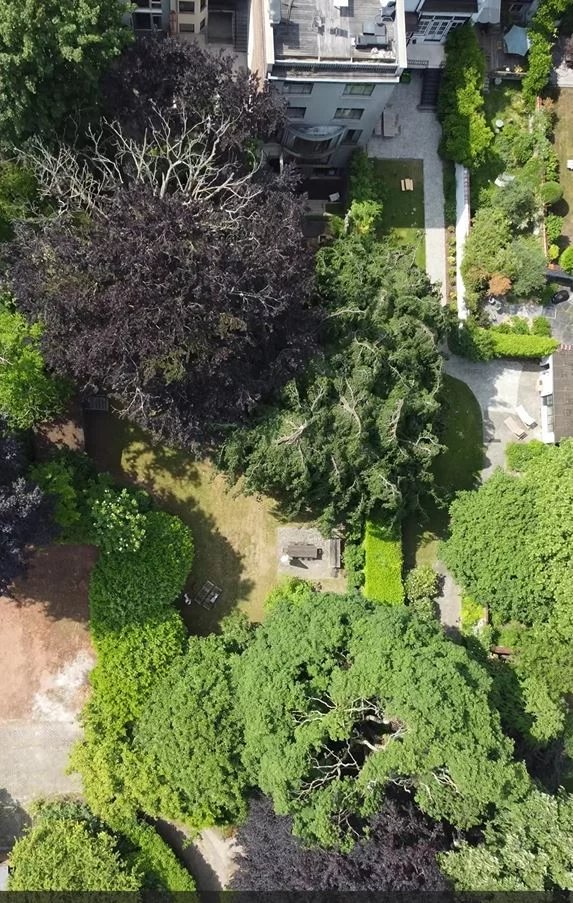 Ixelles, 1050, BE, 5 Bedrooms Bedrooms, ,4 BathroomsBathrooms,Residential,For Sale,2002272